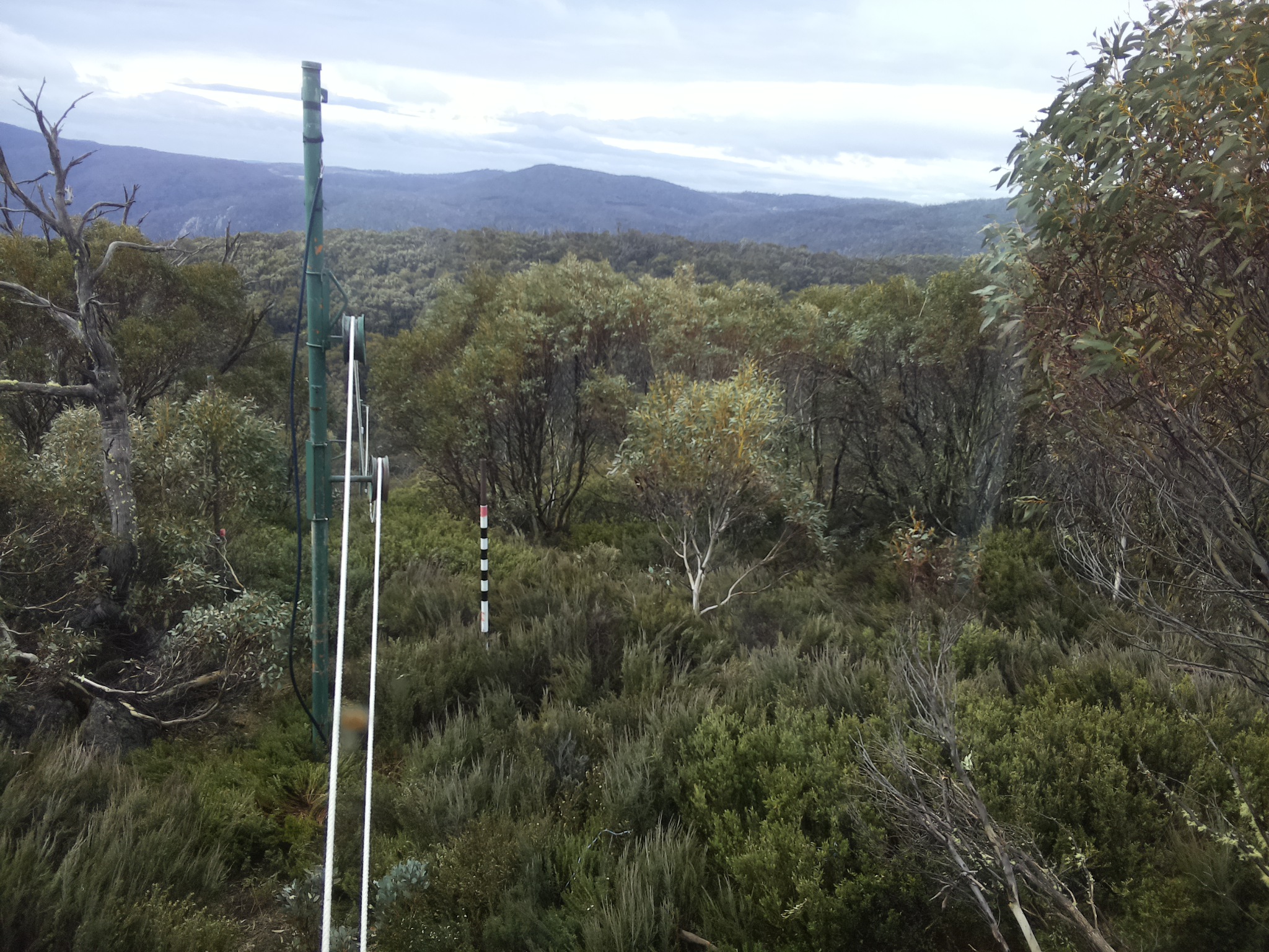 Bogong Web Cam 10:20am Sunday 26th of October 2025