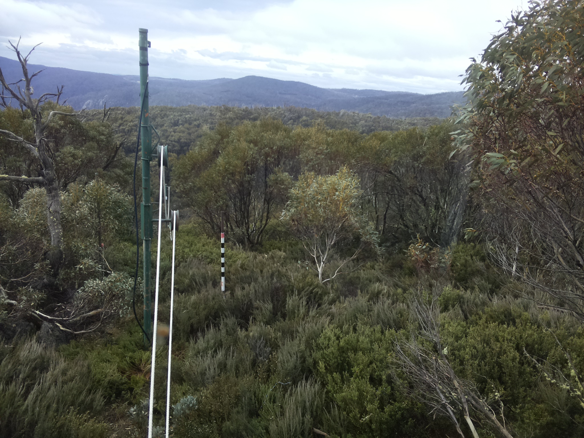 Bogong Web Cam 10:30am Sunday 26th of October 2025