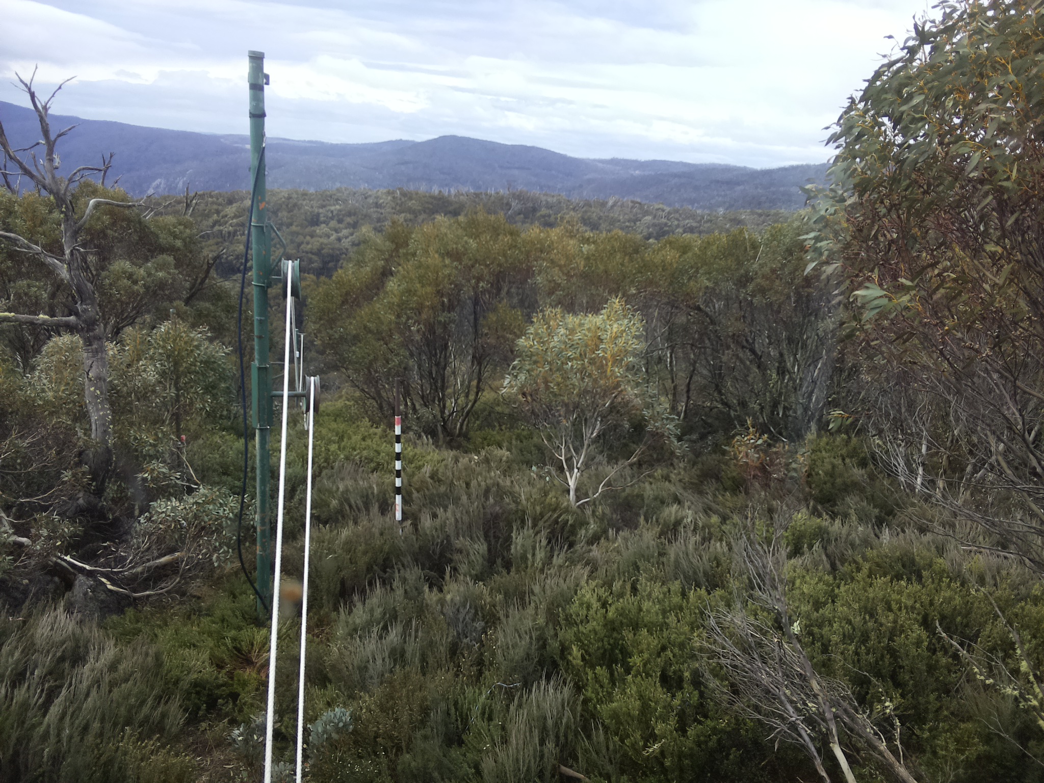 Bogong Web Cam 10:40am Sunday 26th of October 2025