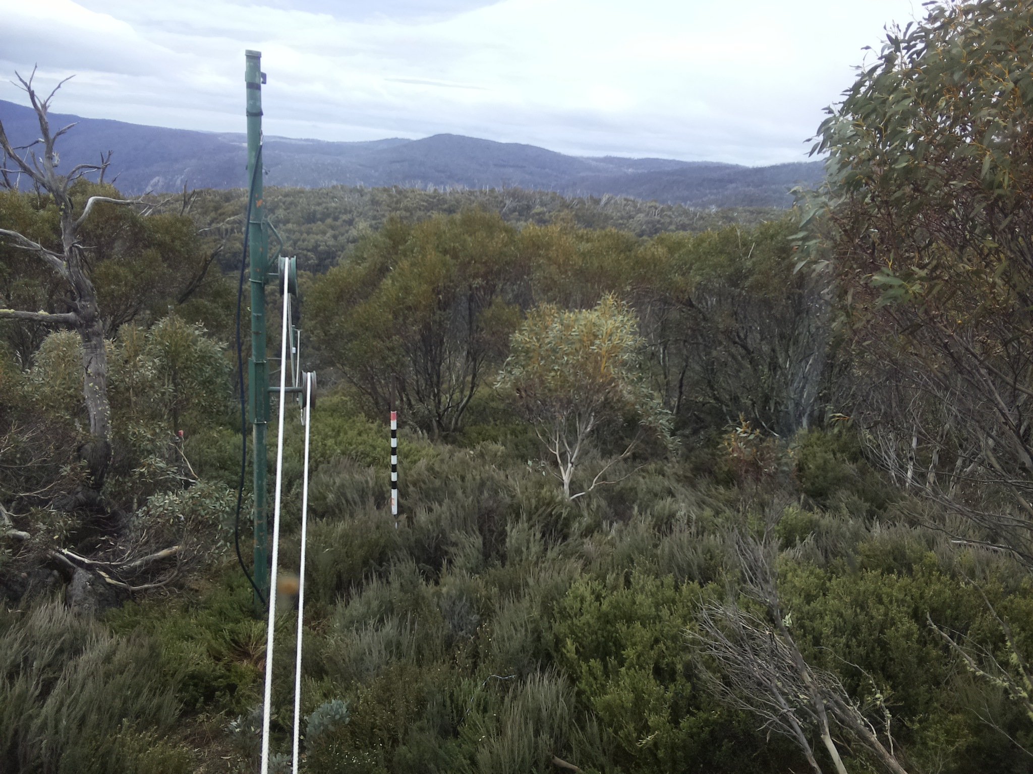 Bogong Web Cam 11:00am Sunday 26th of October 2025