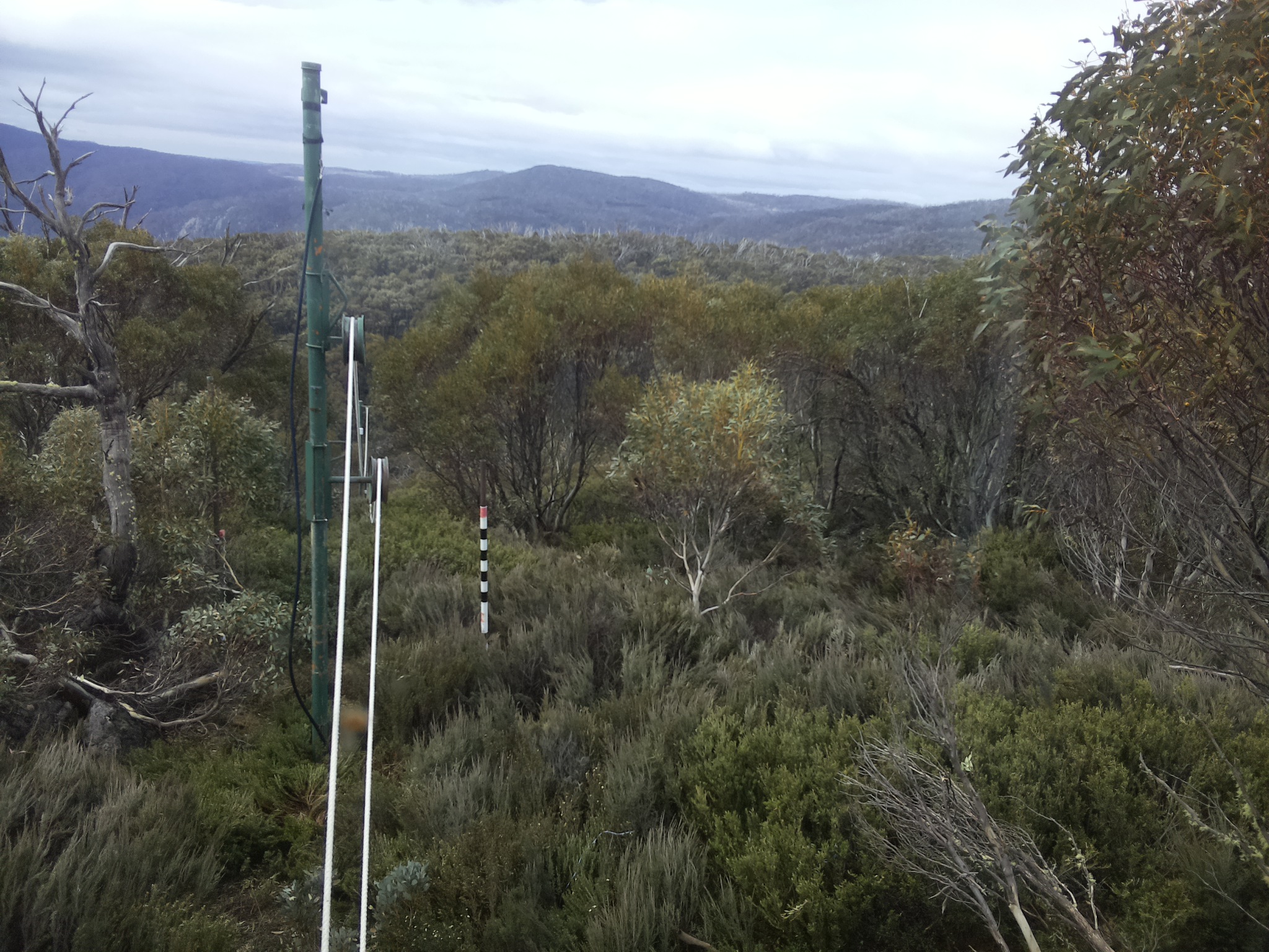 Bogong Web Cam 11:10am Sunday 26th of October 2025