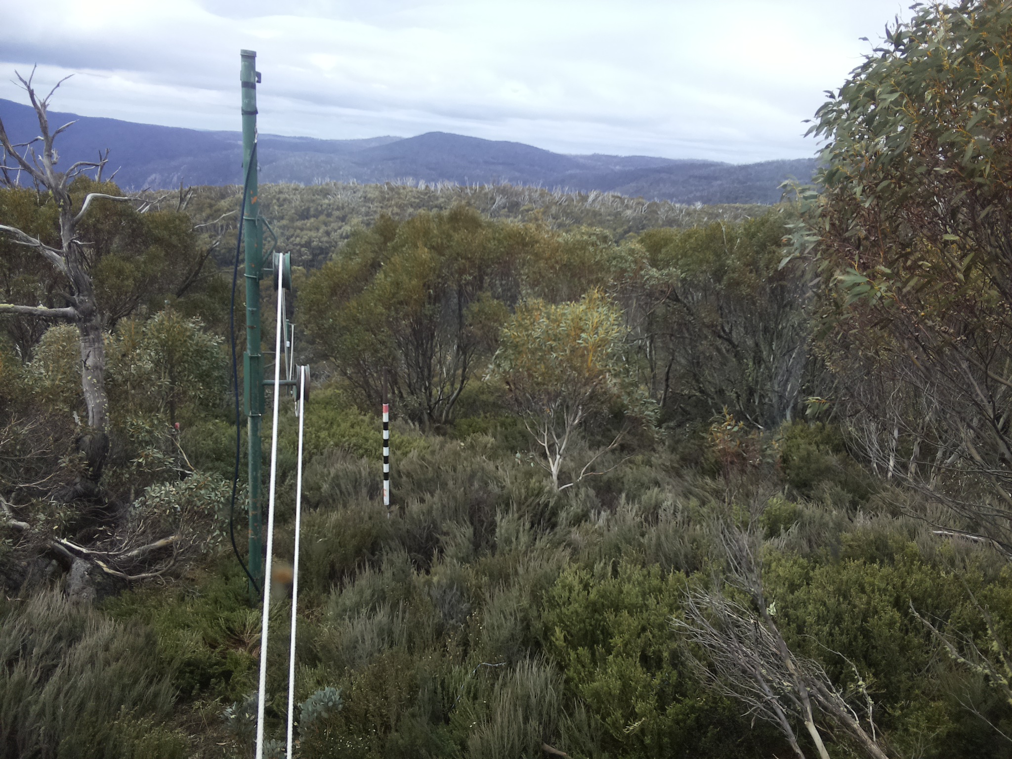 Bogong Web Cam 11:20am Sunday 26th of October 2025