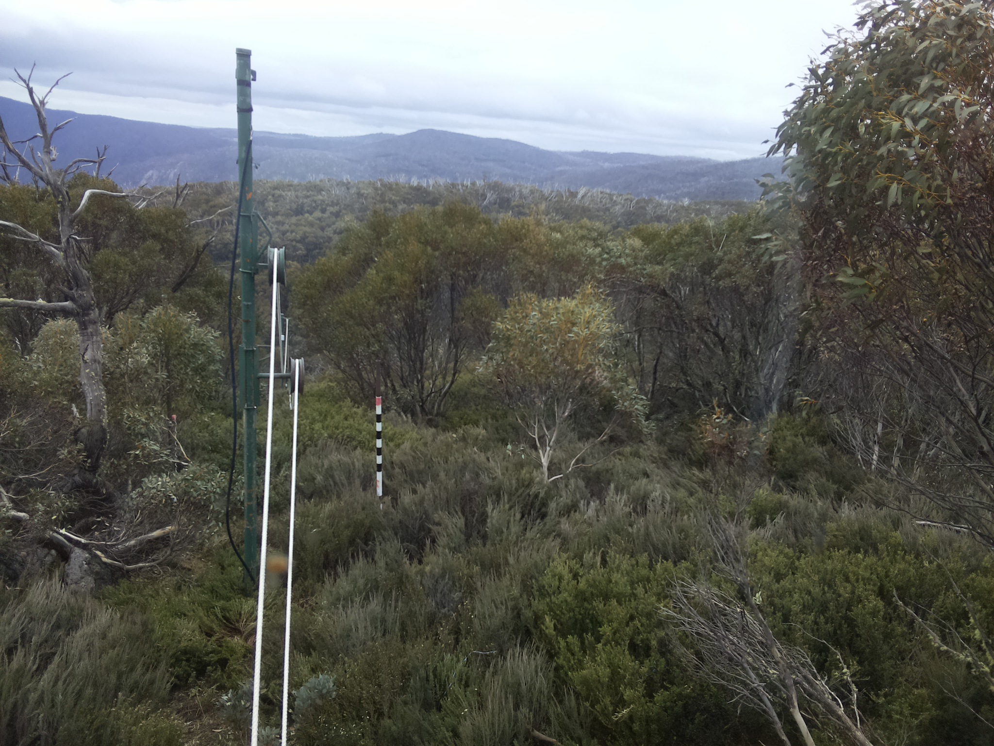 Bogong Web Cam 11:30am Sunday 26th of October 2025
