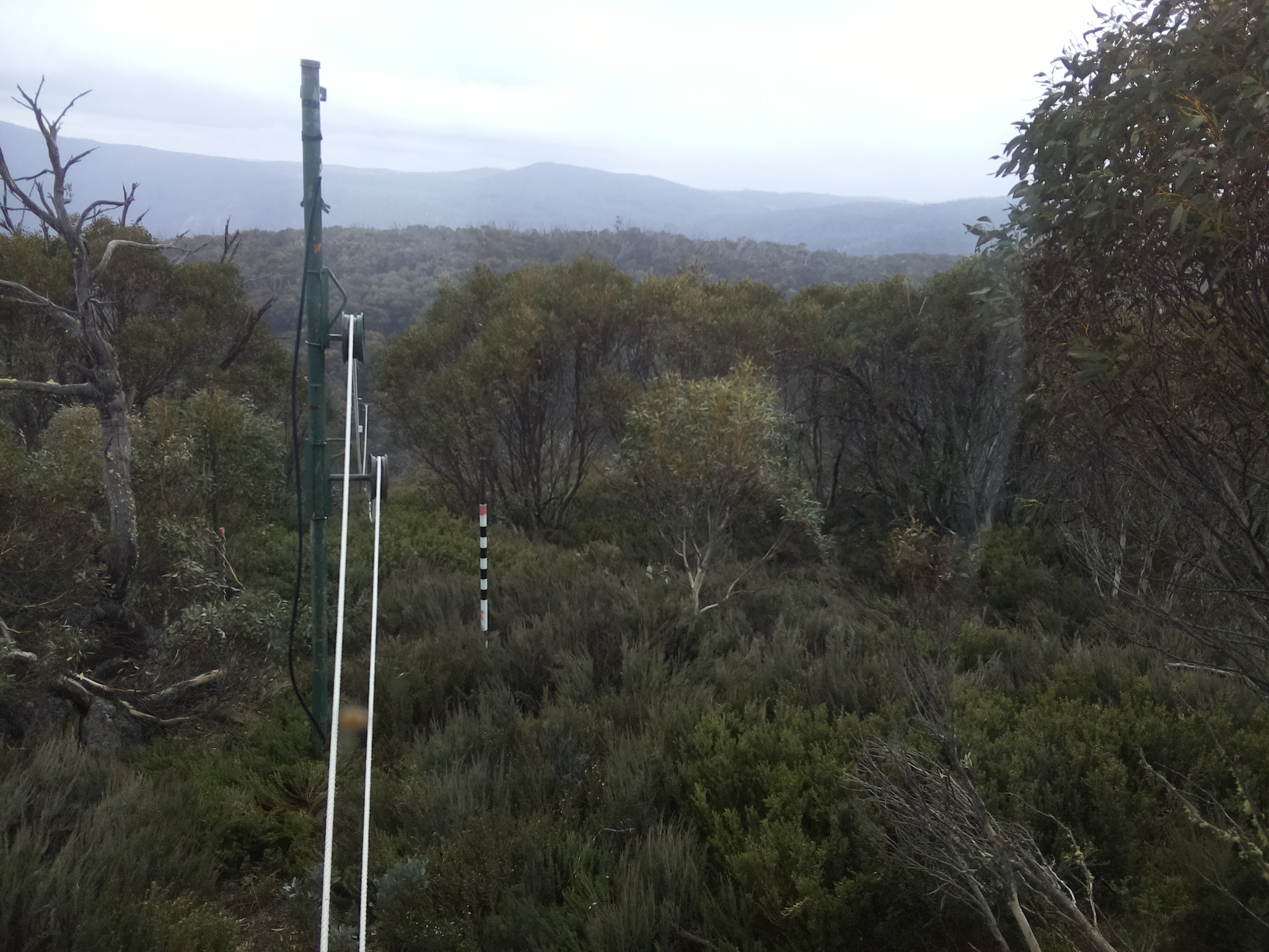 Bogong Web Cam 11:50am Sunday 26th of October 2025