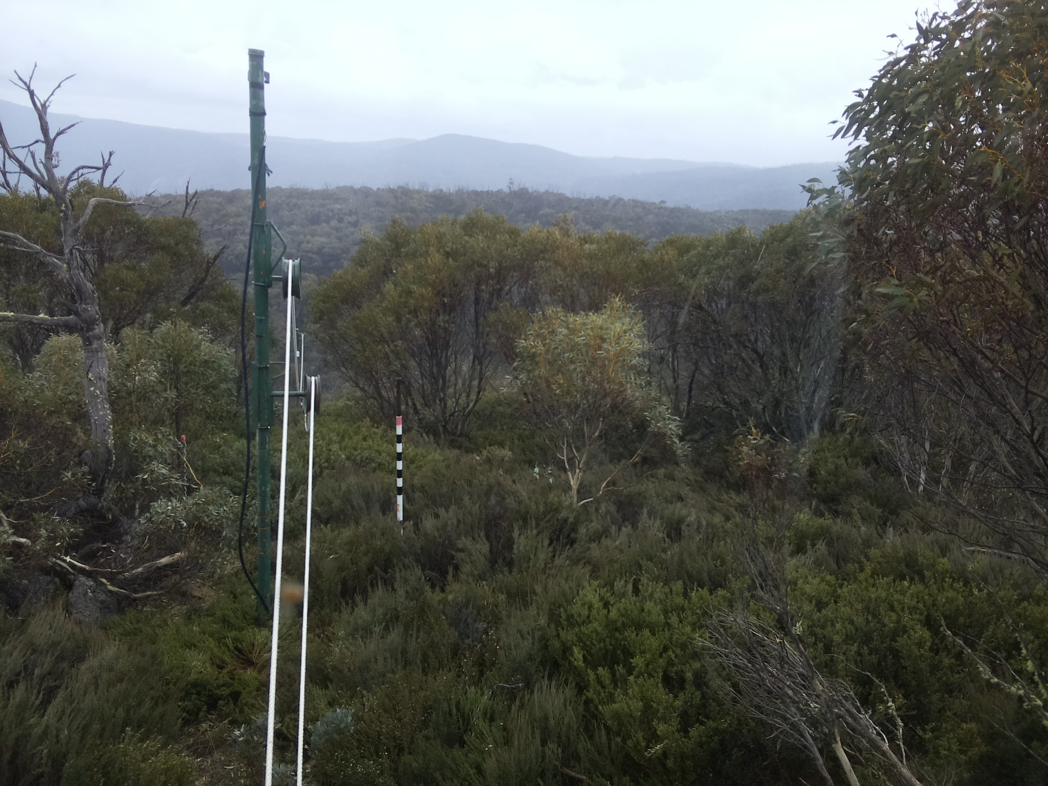 Bogong Web Cam 12:00pm Sunday 26th of October 2025