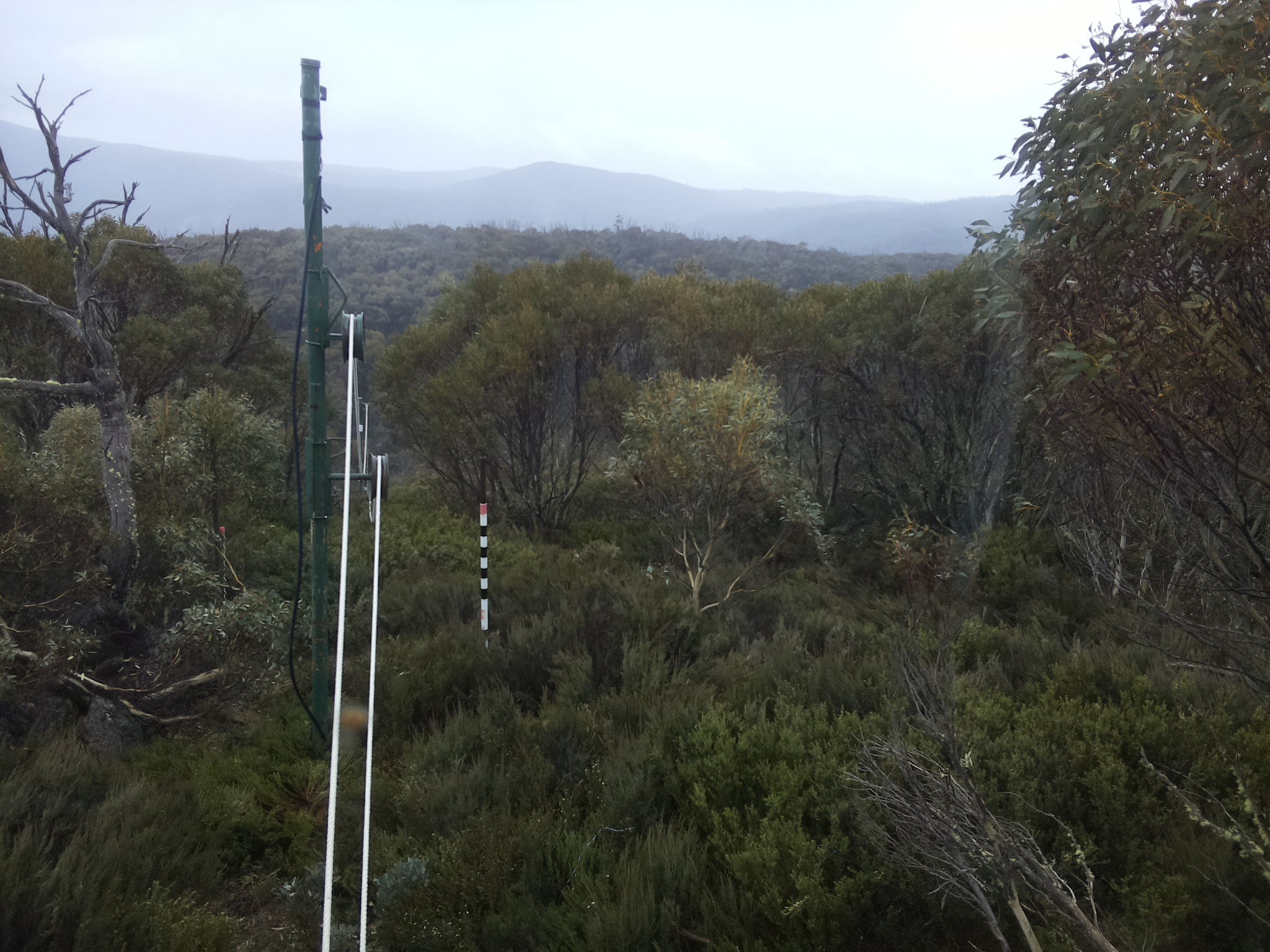 Bogong Web Cam 12:20pm Sunday 26th of October 2025