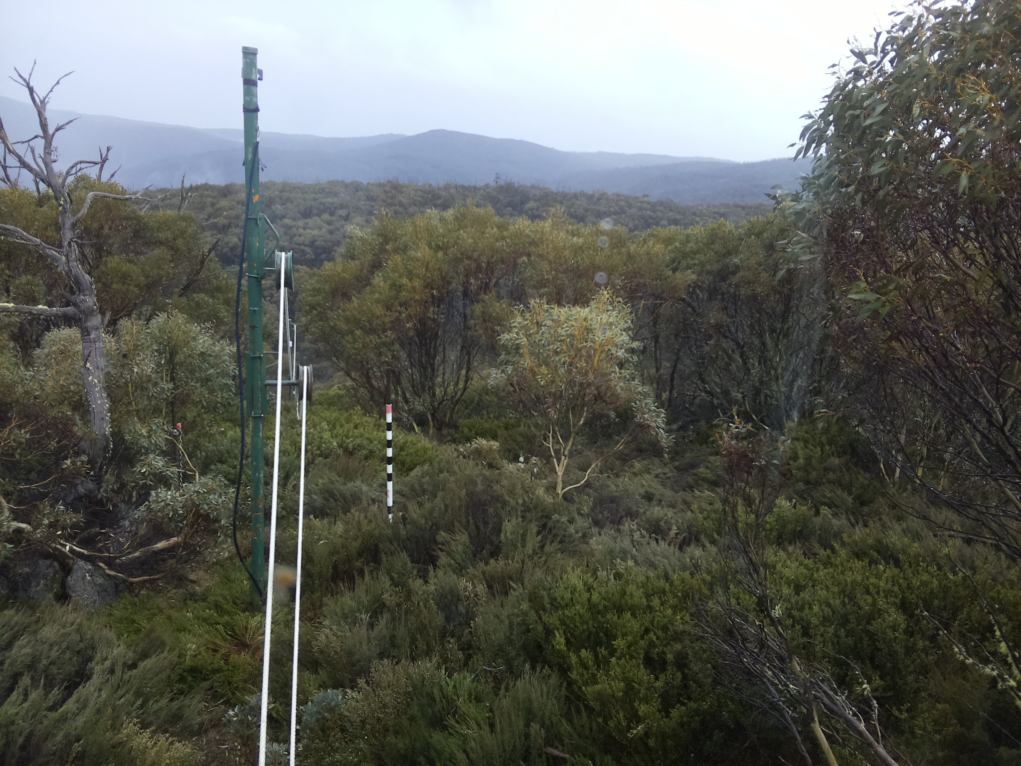 Bogong Web Cam 3:20pm Sunday 26th of October 2025