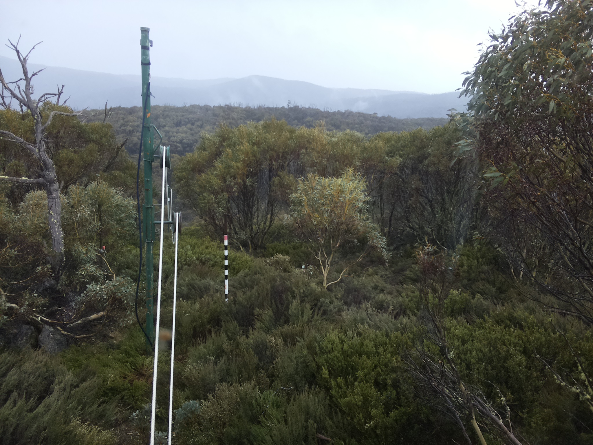 Bogong Web Cam 3:40pm Sunday 26th of October 2025