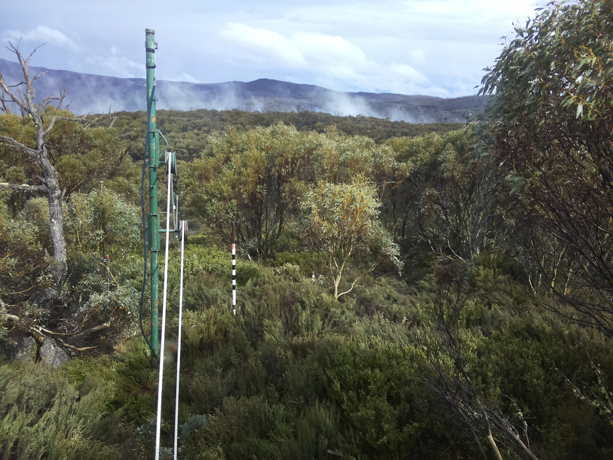 Bogong Web Cam 3:50pm Sunday 26th of October 2025