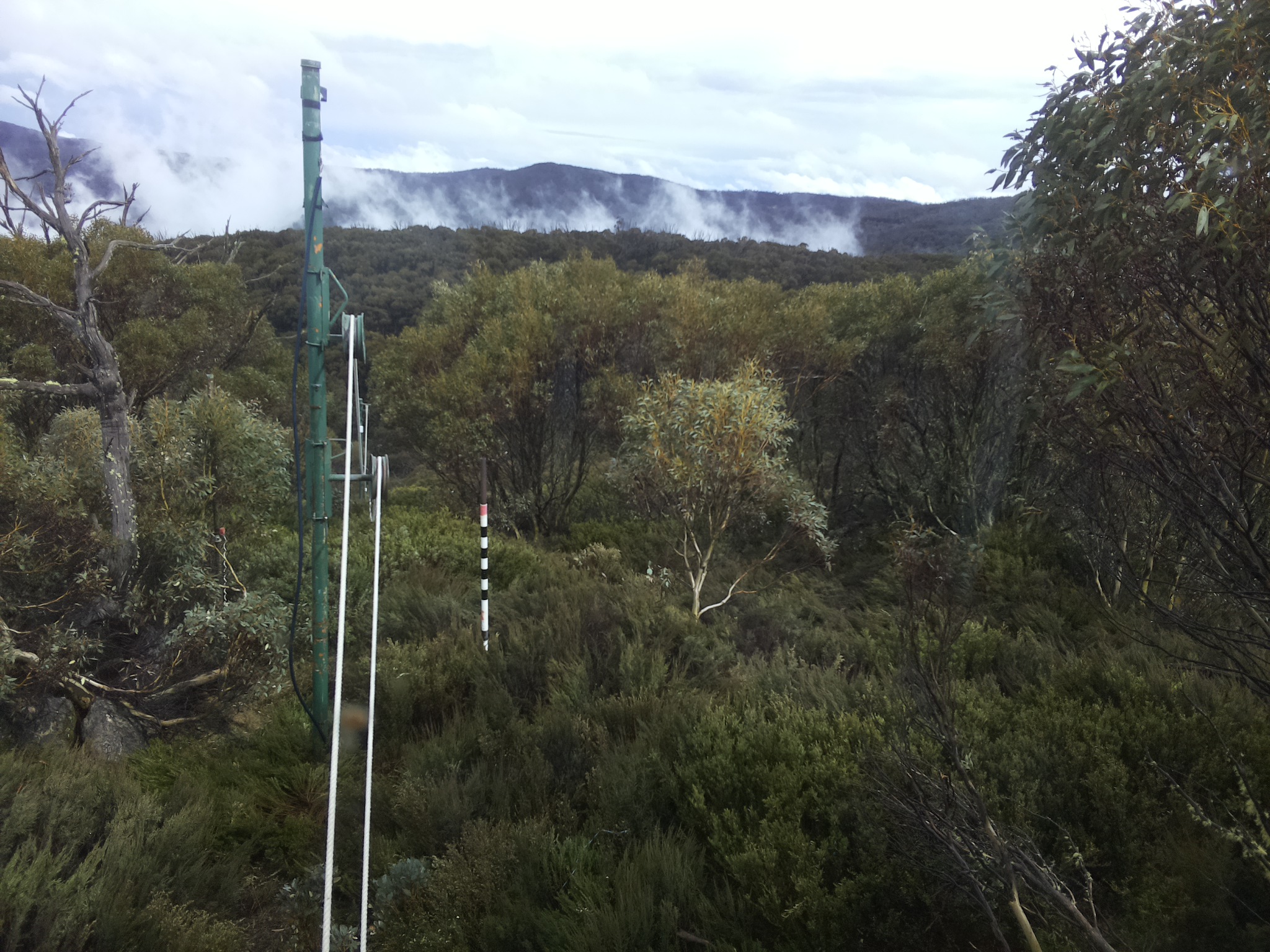 Bogong Web Cam 4:00pm Sunday 26th of October 2025