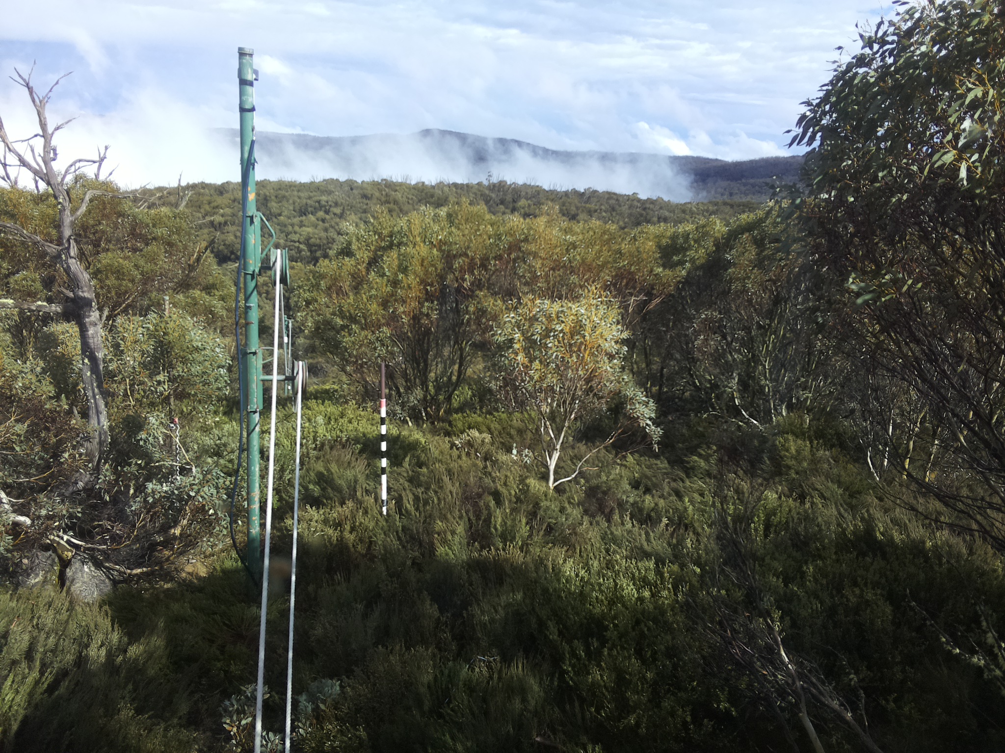 Bogong Web Cam 4:10pm Sunday 26th of October 2025