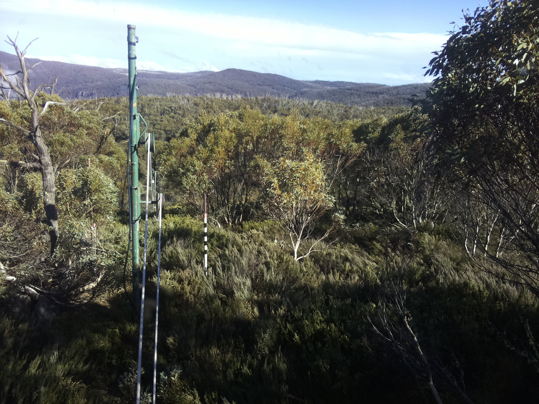 Bogong Web Cam 4:40pm Sunday 26th of October 2025