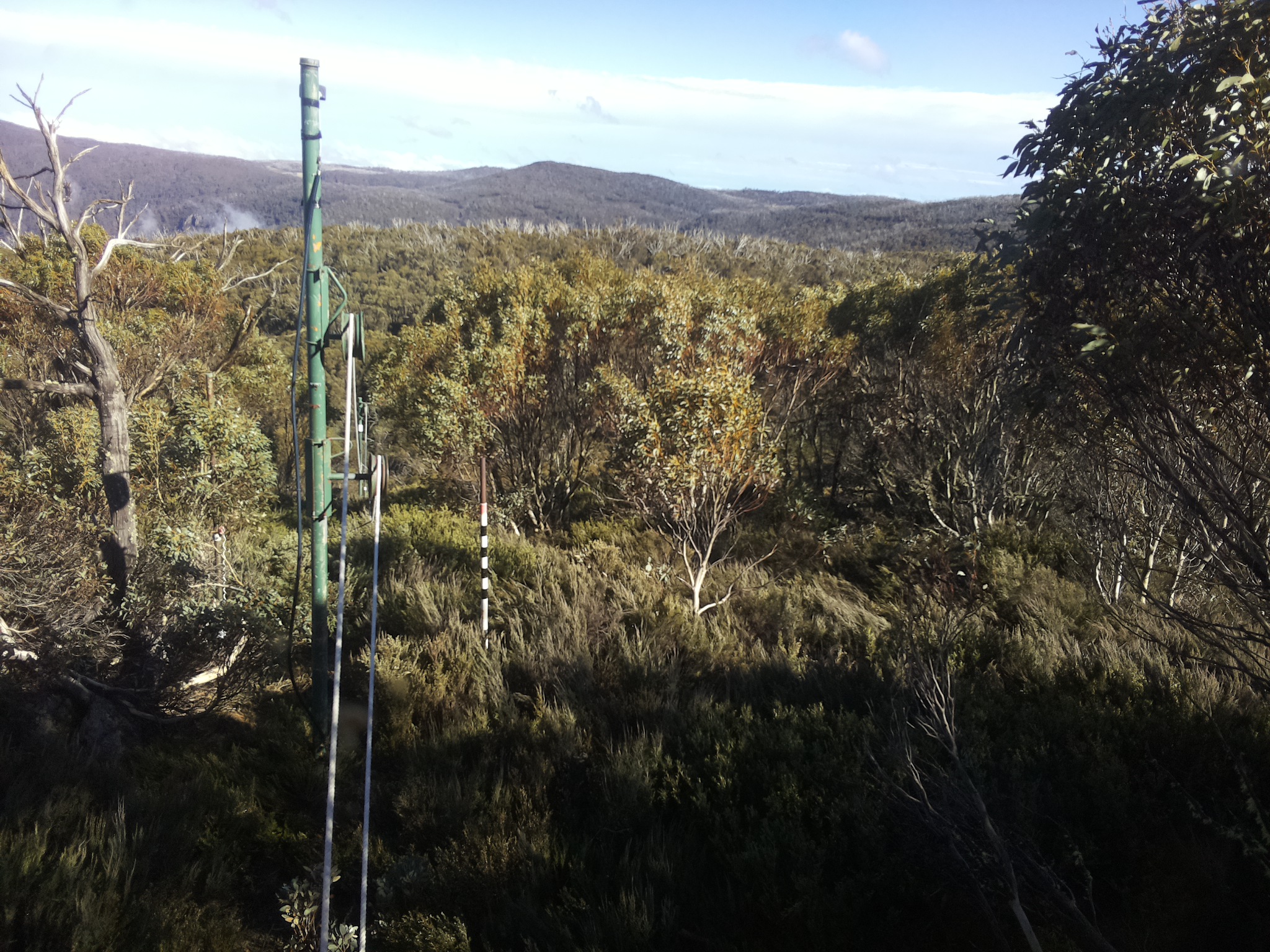 Bogong Web Cam 4:50pm Sunday 26th of October 2025