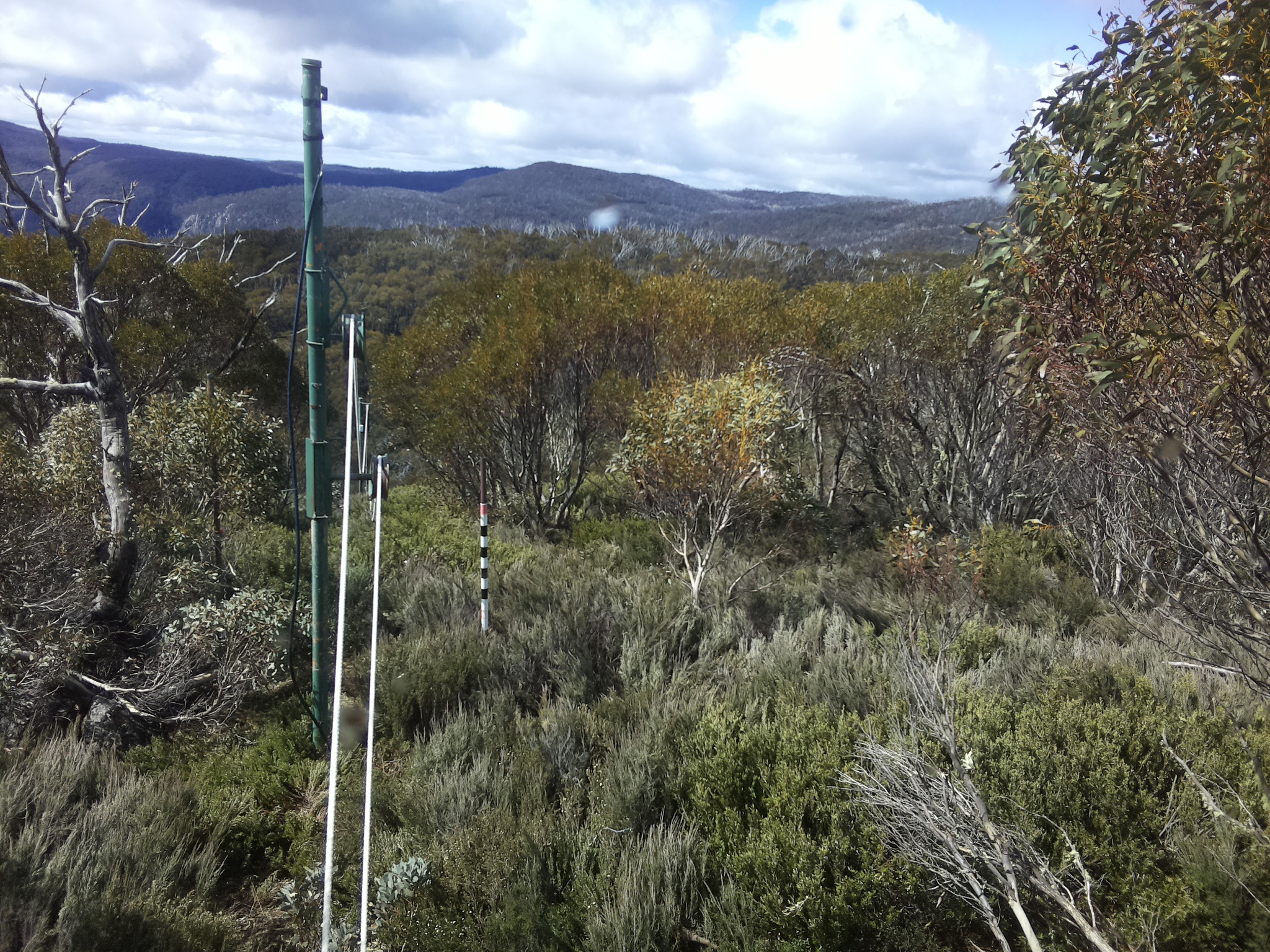 Bogong Web Cam 10:50am Monday 27th of October 2025