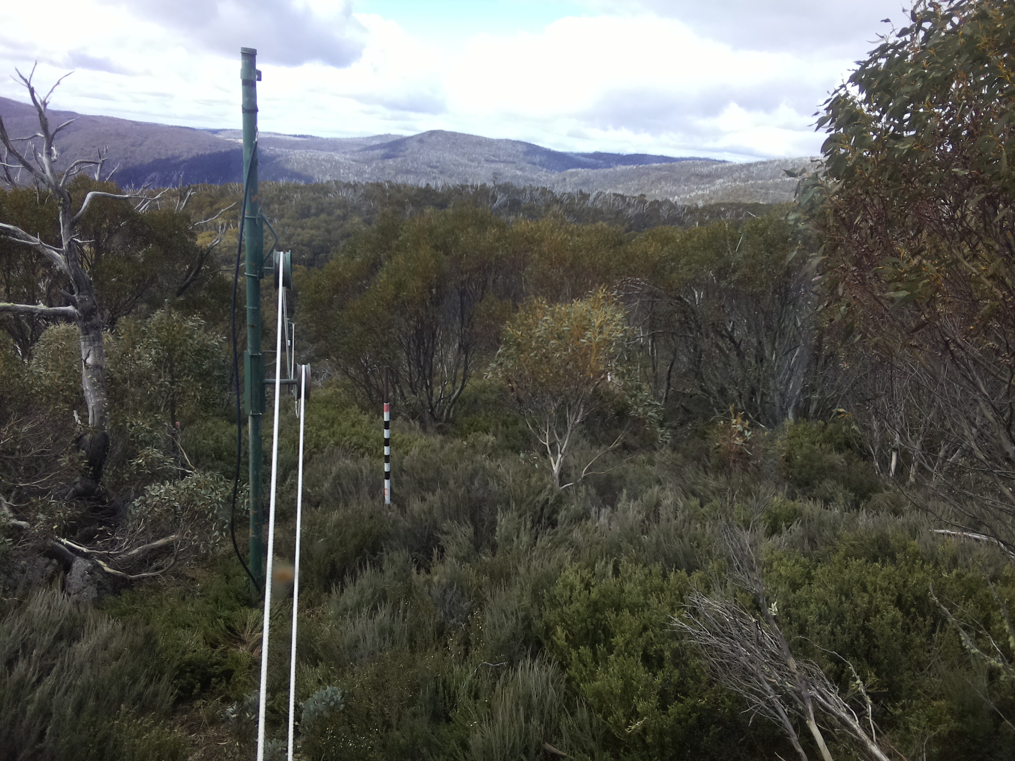 Bogong Web Cam 11:30am Monday 27th of October 2025