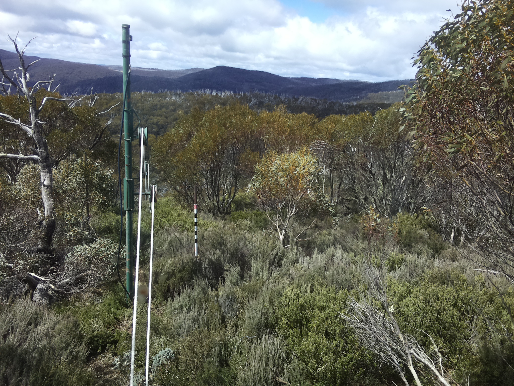 Bogong Web Cam 11:40am Monday 27th of October 2025
