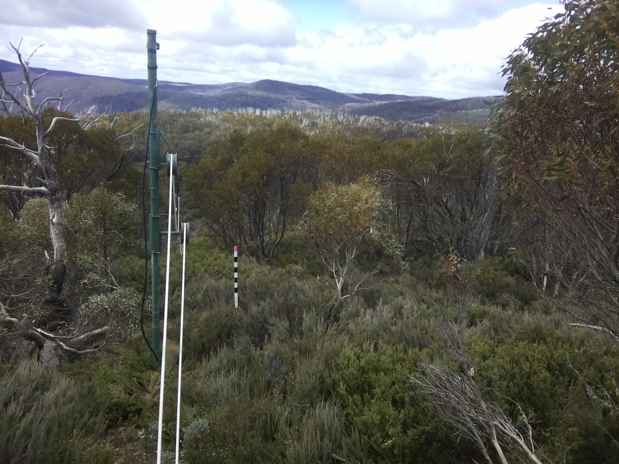 Bogong Web Cam 11:50am Monday 27th of October 2025