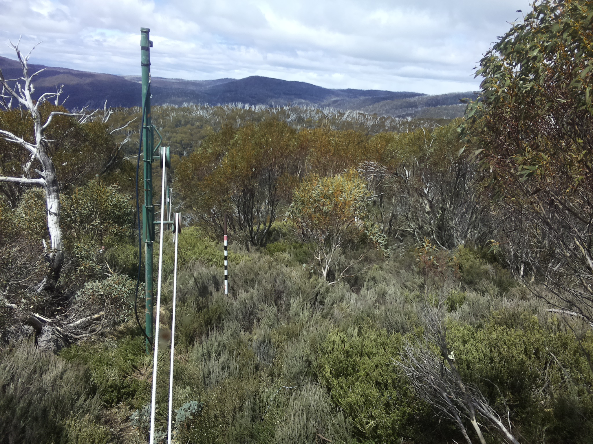Bogong Web Cam 12:50pm Monday 27th of October 2025