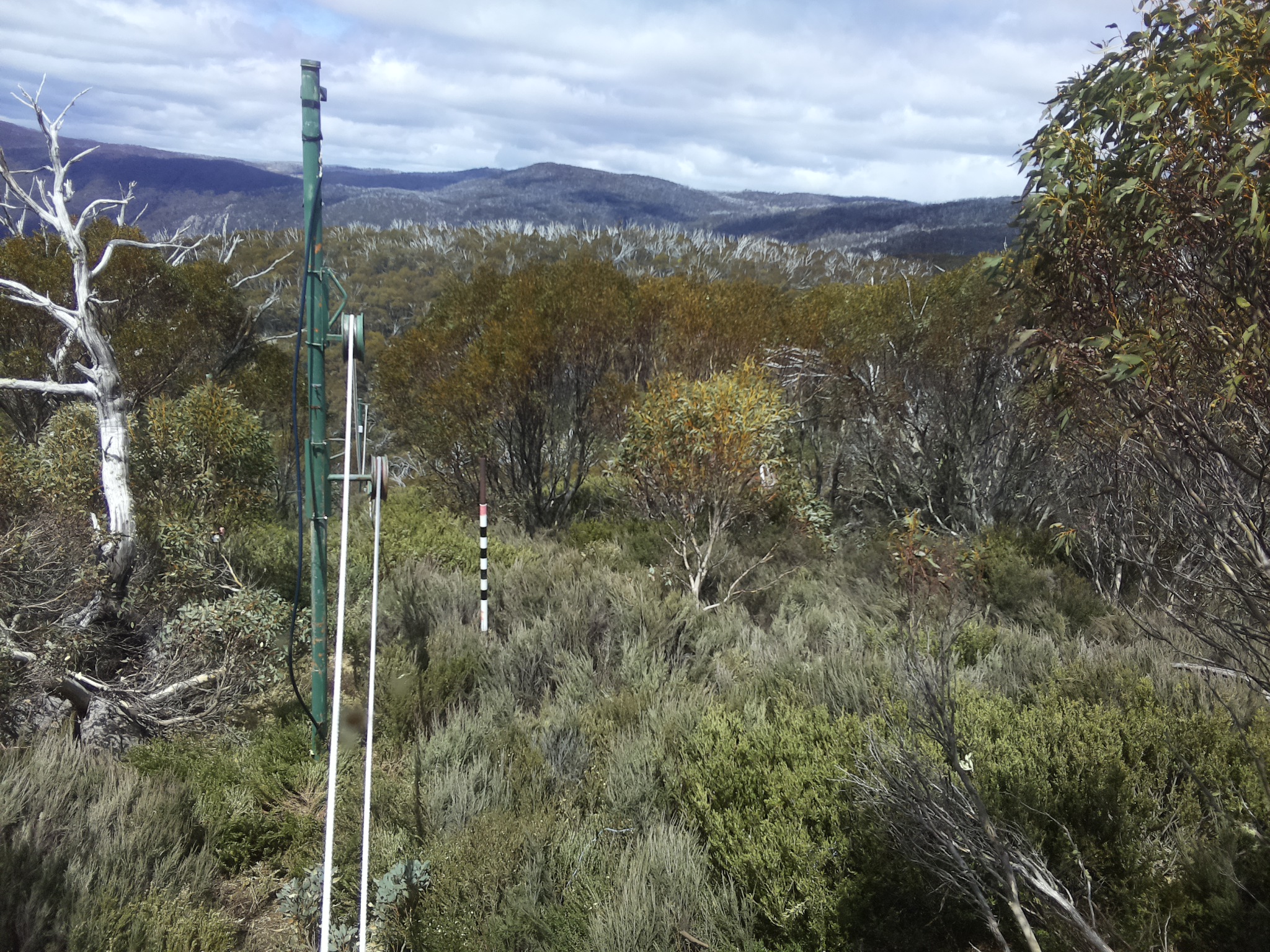 Bogong Web Cam 1:10pm Monday 27th of October 2025