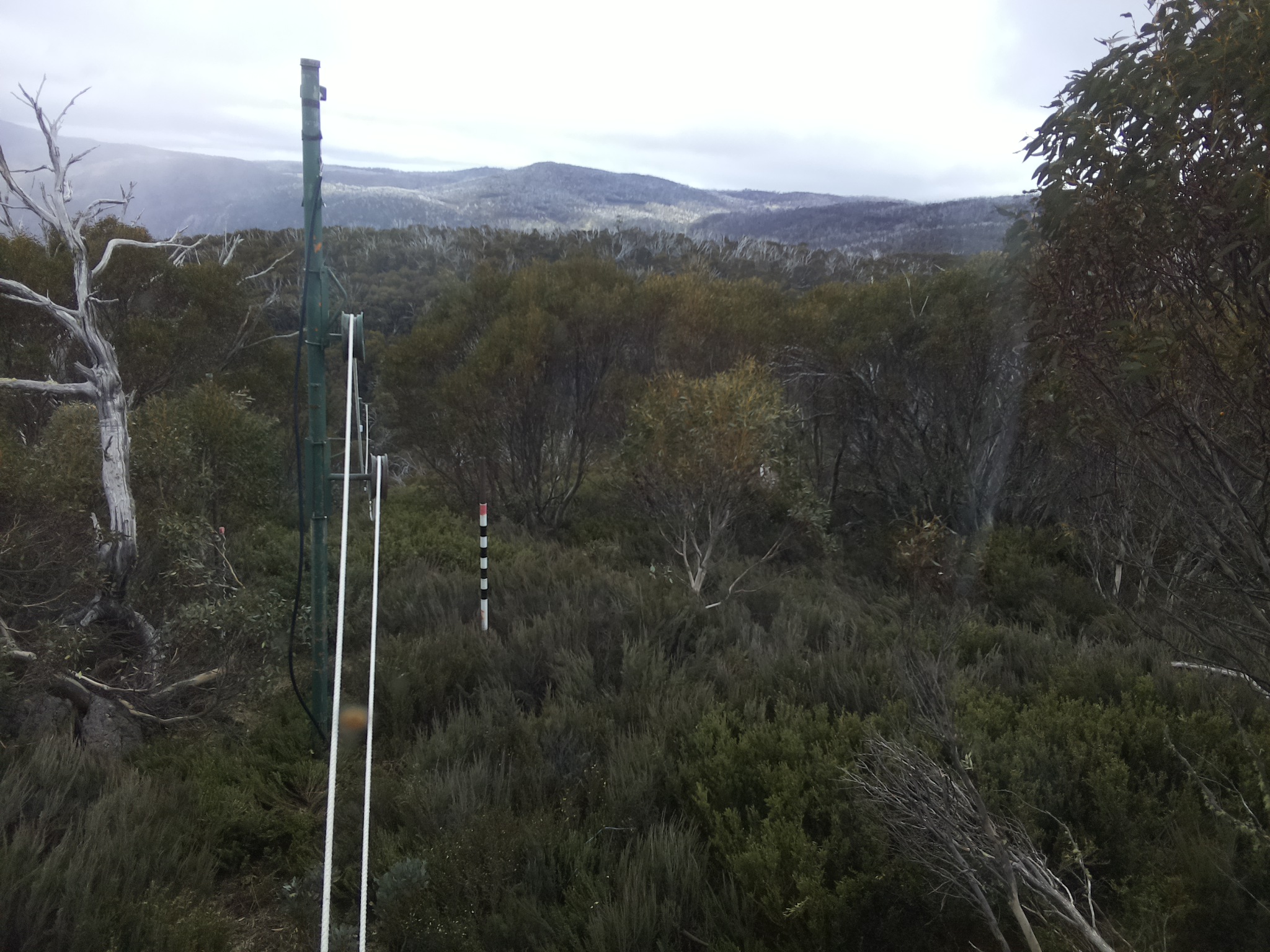 Bogong Web Cam 1:50pm Monday 27th of October 2025
