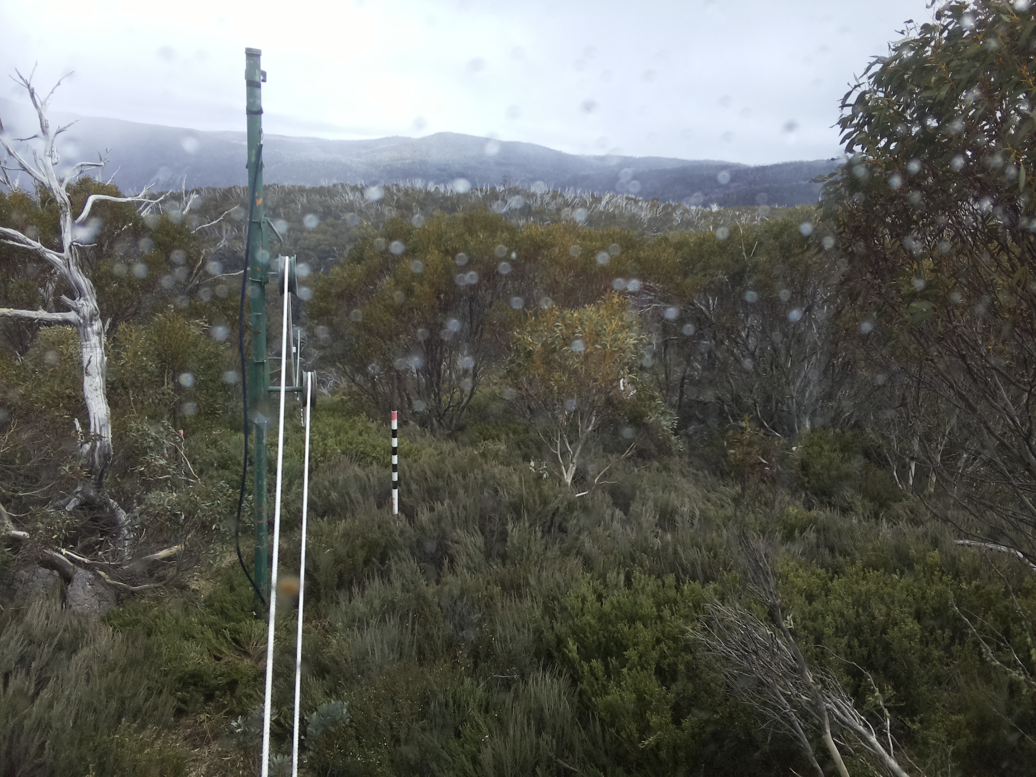 Bogong Web Cam 2:00pm Monday 27th of October 2025