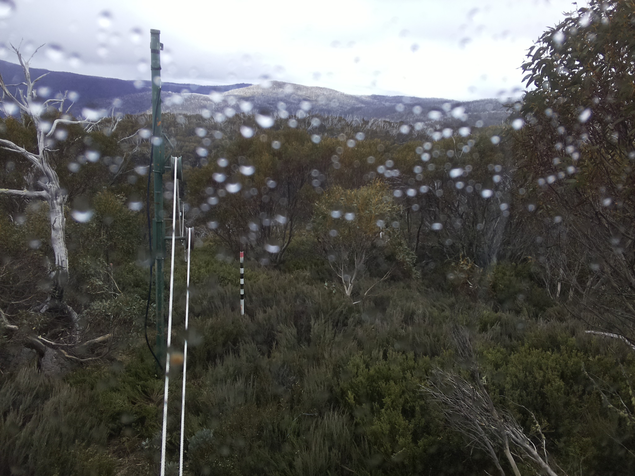 Bogong Web Cam 2:30pm Monday 27th of October 2025