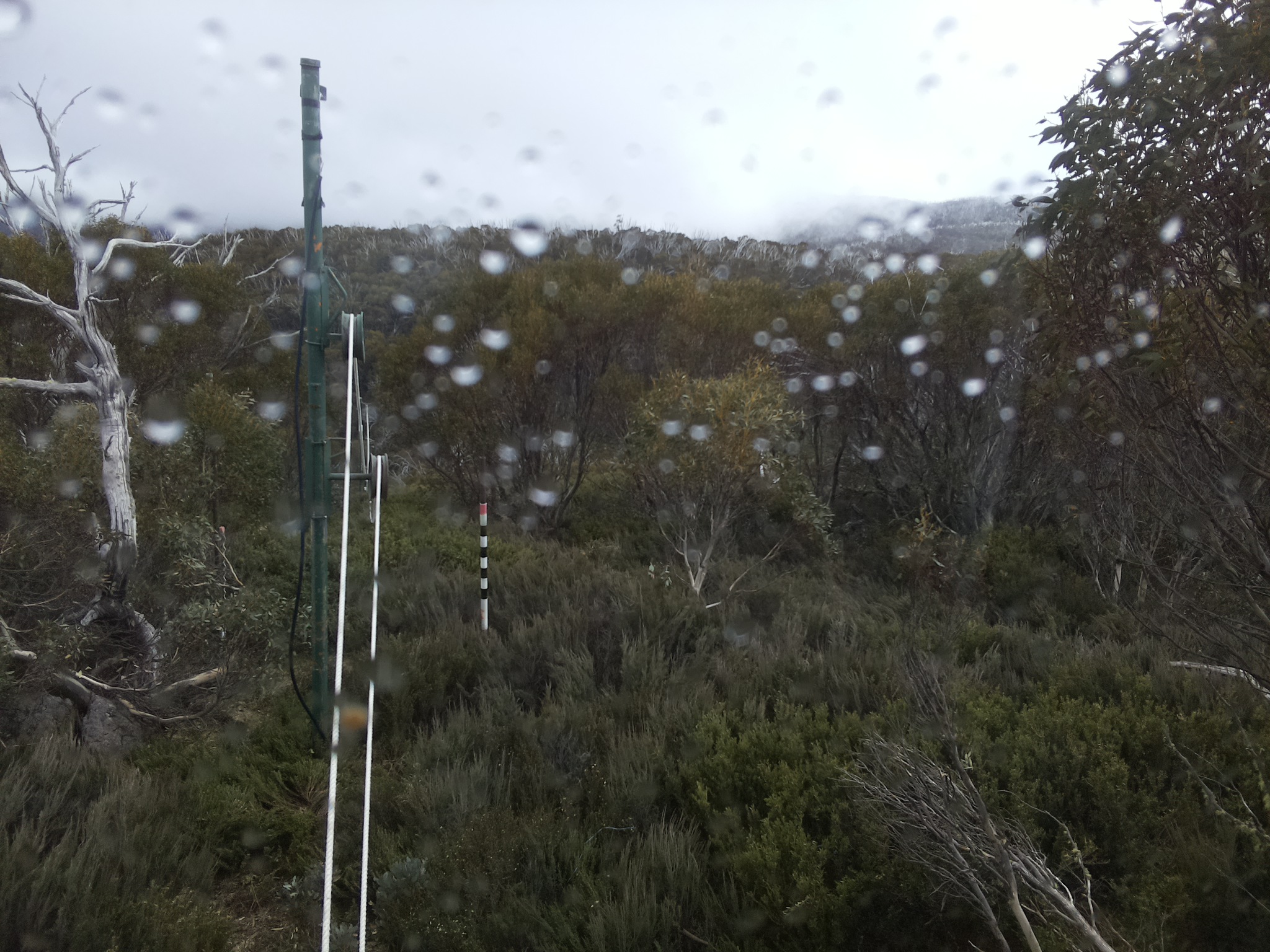 Bogong Web Cam 2:40pm Monday 27th of October 2025