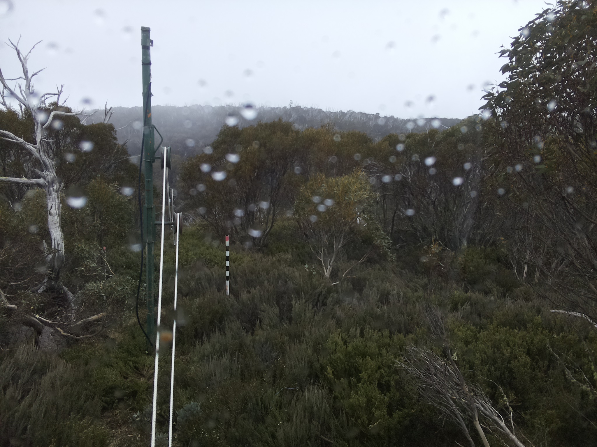 Bogong Web Cam 2:50pm Monday 27th of October 2025