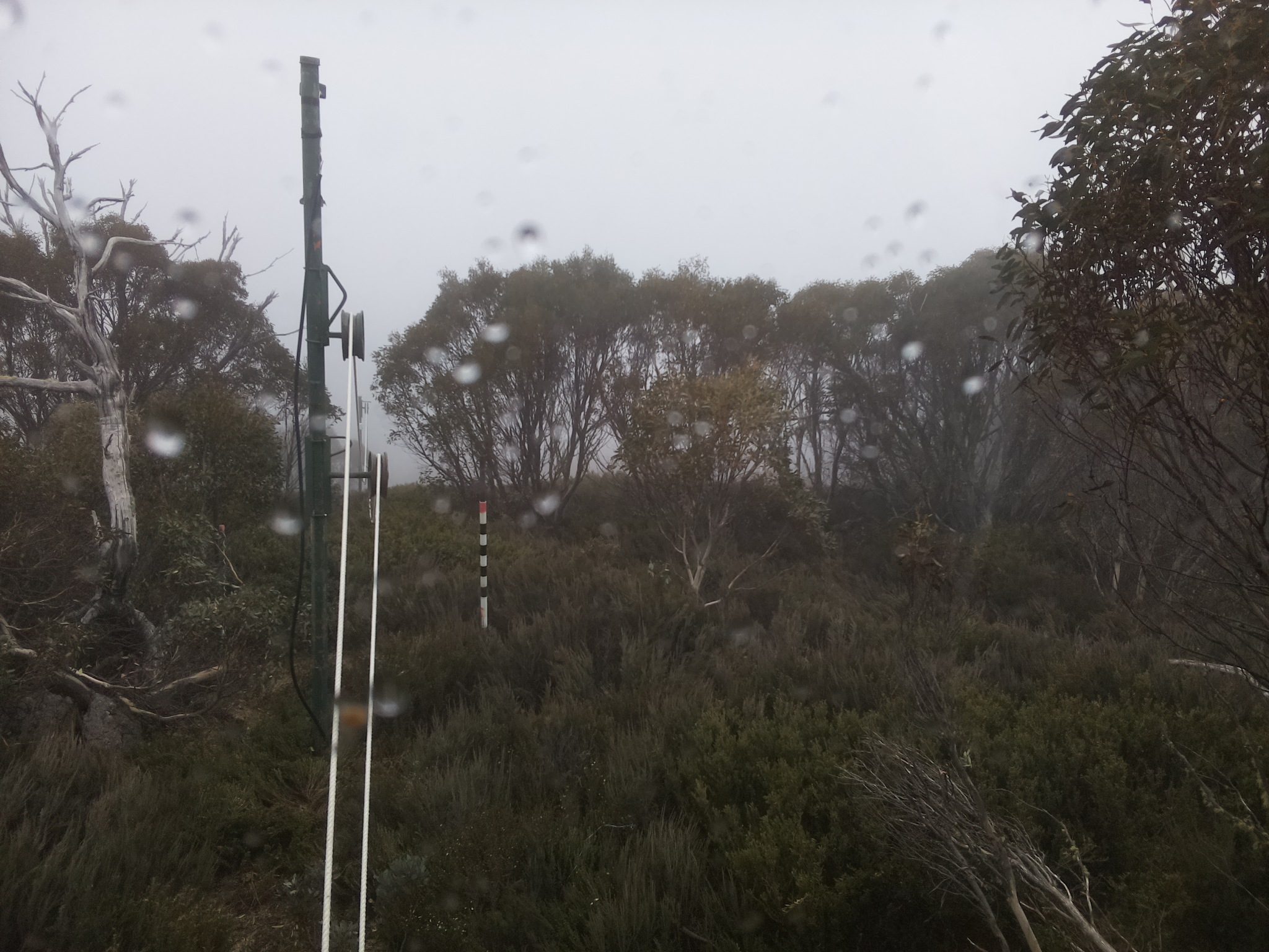 Bogong Web Cam 3:10pm Monday 27th of October 2025