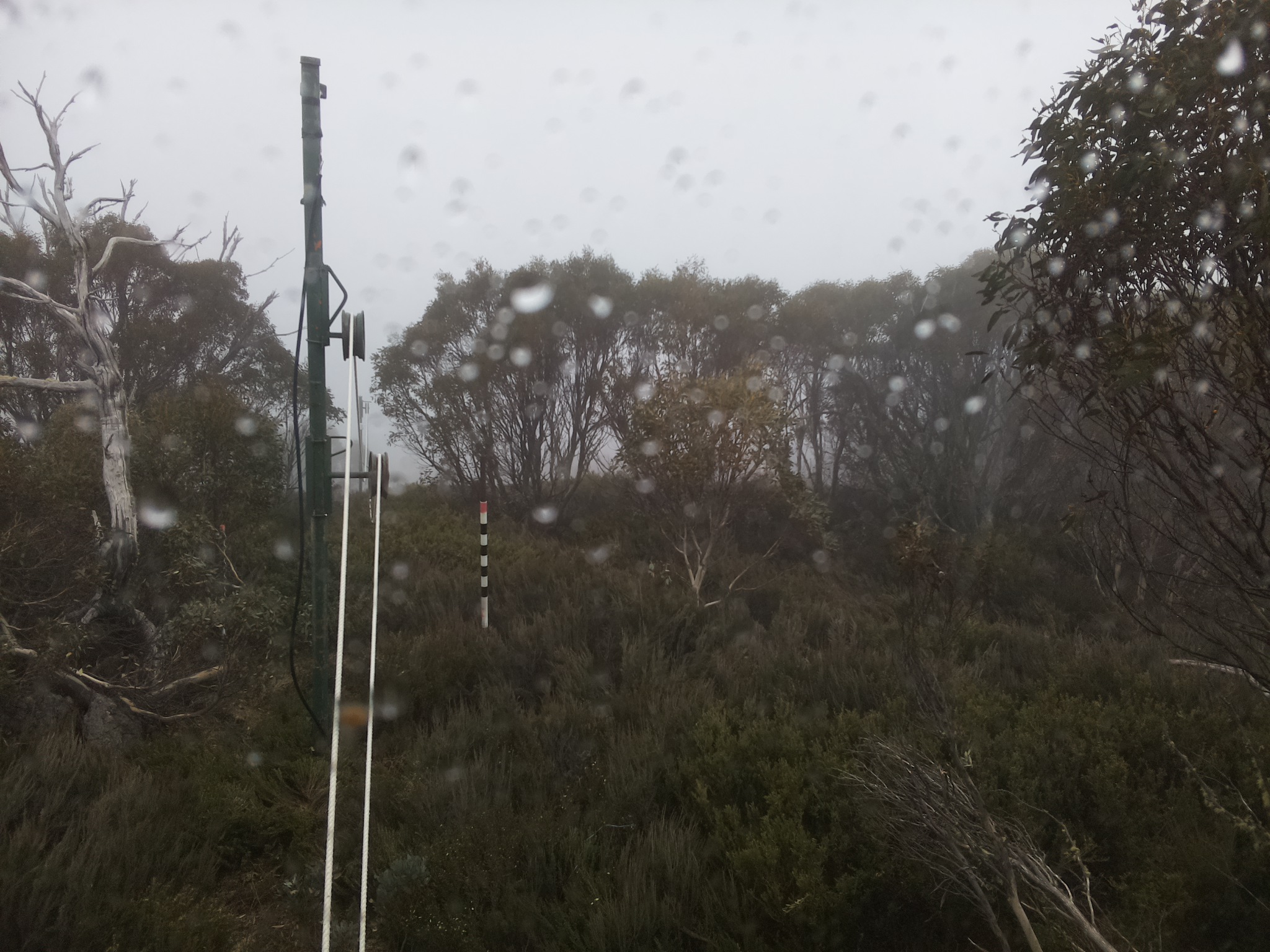 Bogong Web Cam 4:00pm Monday 27th of October 2025