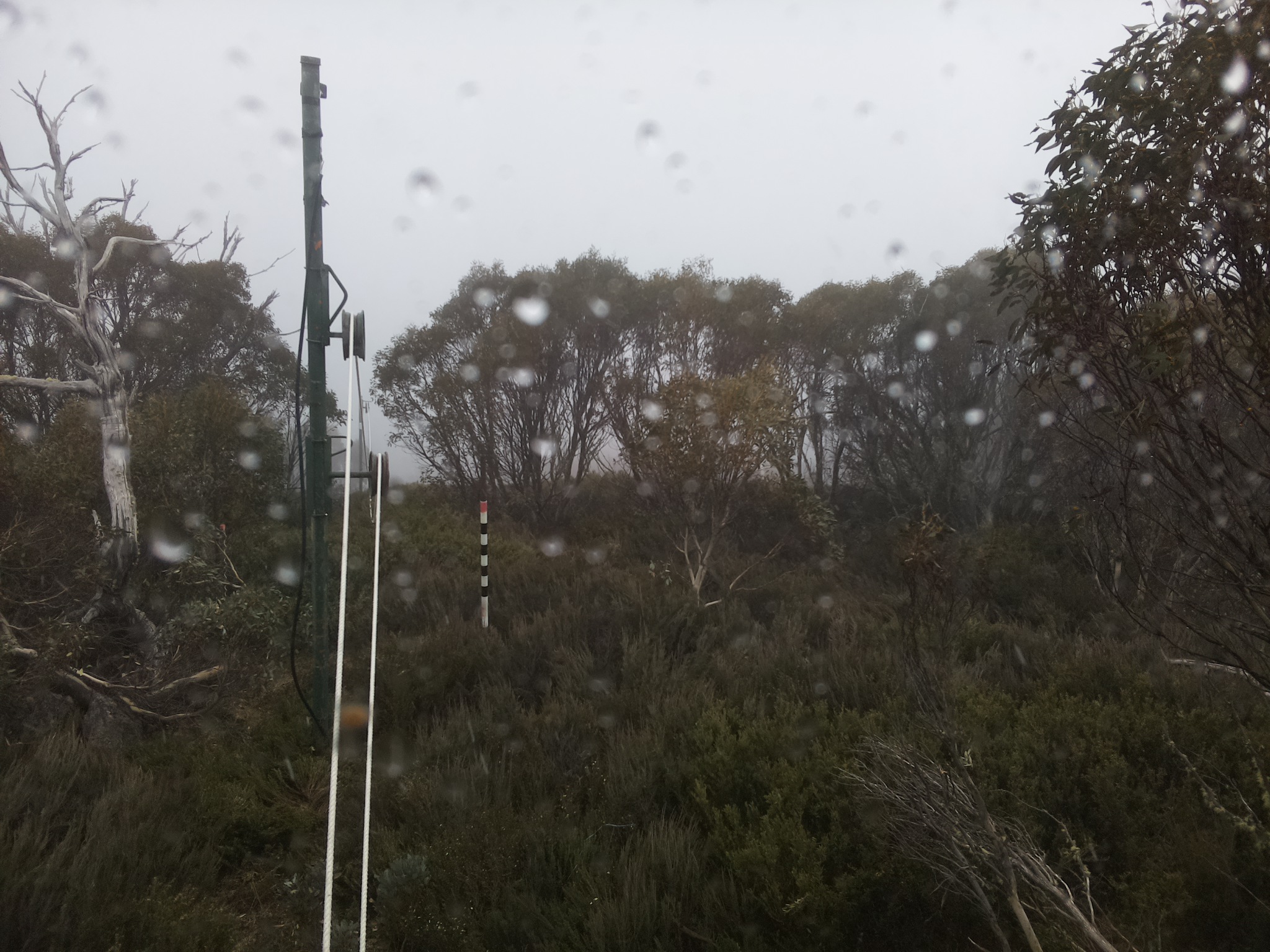 Bogong Web Cam 4:40pm Monday 27th of October 2025