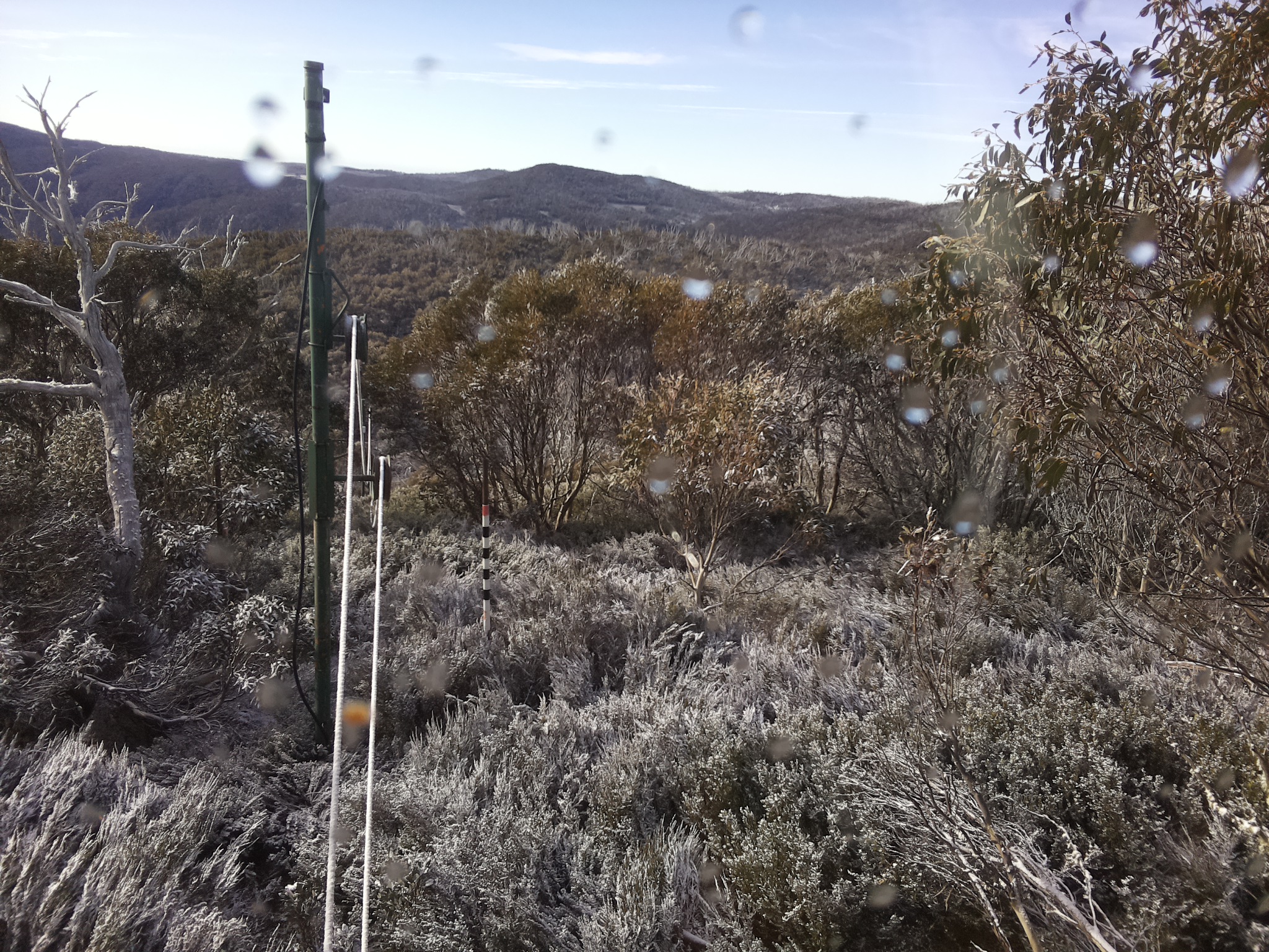 Bogong Web Cam 8:20am Tuesday 28th of October 2025