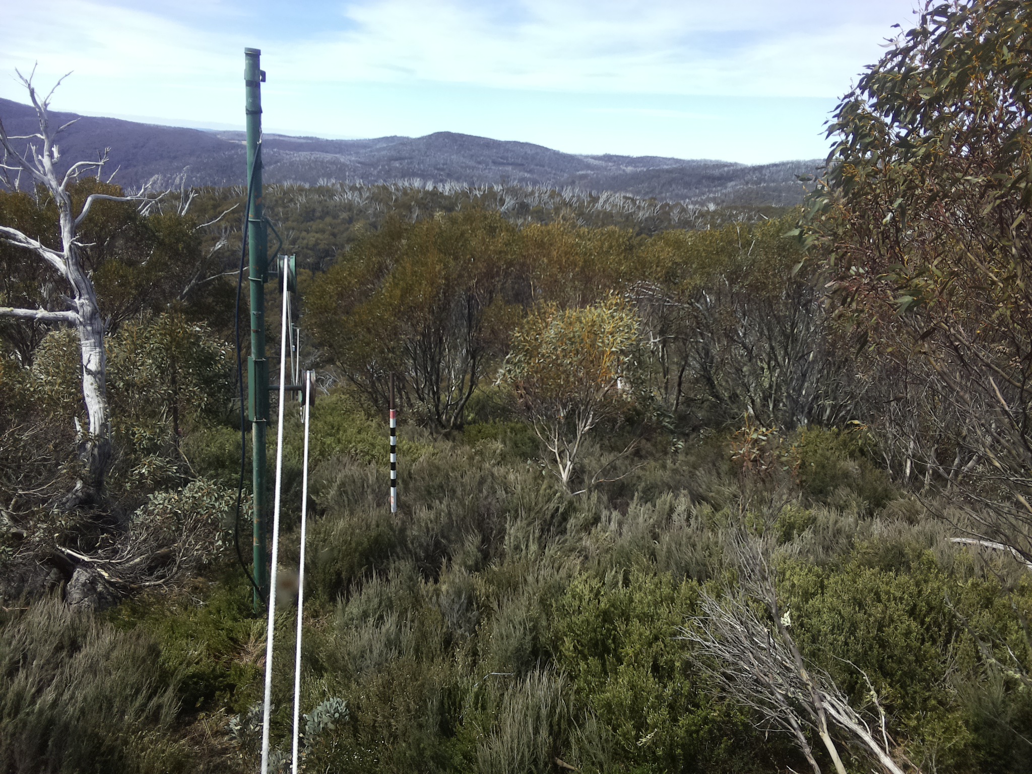 Bogong Web Cam 11:20am Tuesday 28th of October 2025