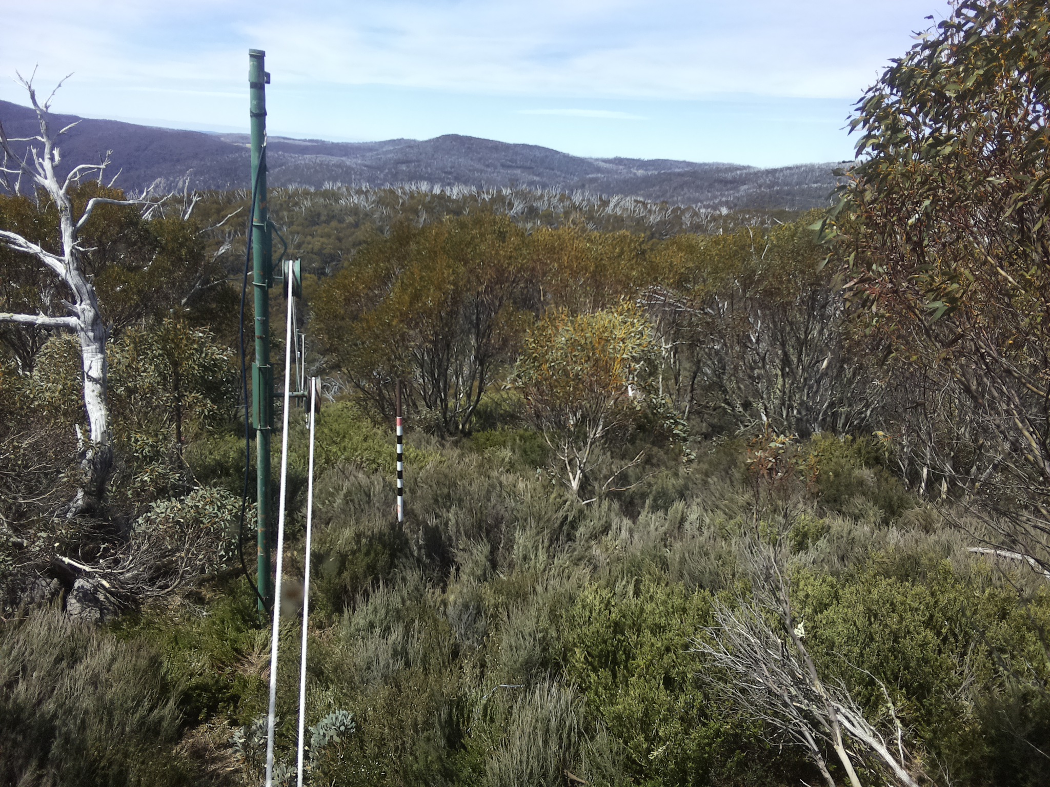 Bogong Web Cam 11:50am Tuesday 28th of October 2025