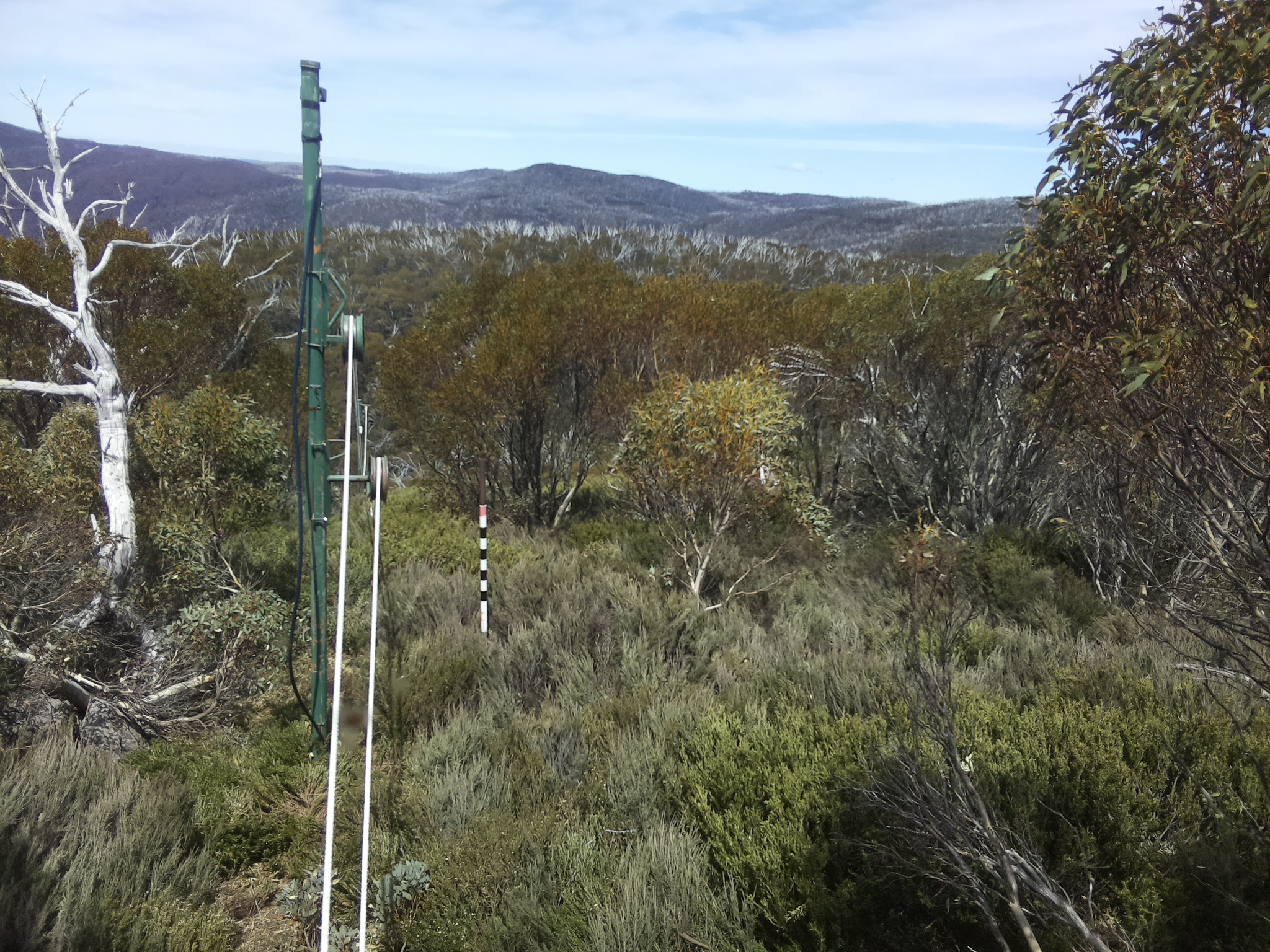 Bogong Web Cam 1:30pm Tuesday 28th of October 2025
