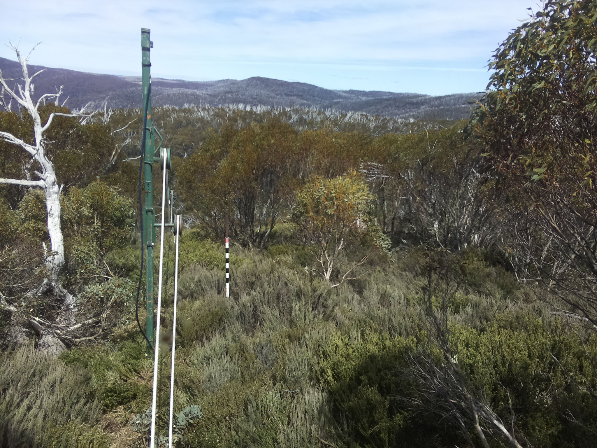 Bogong Web Cam 2:00pm Tuesday 28th of October 2025