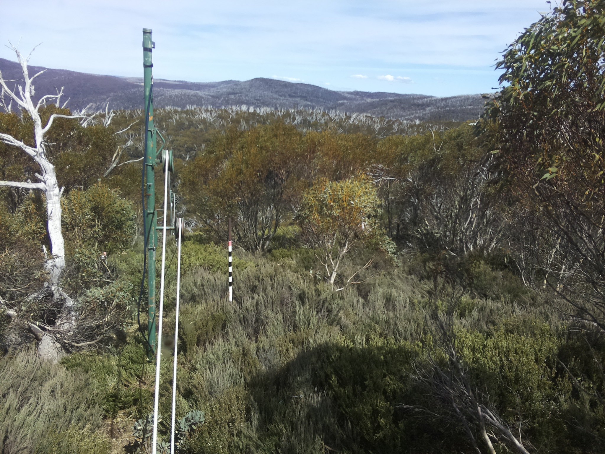 Bogong Web Cam 2:50pm Tuesday 28th of October 2025