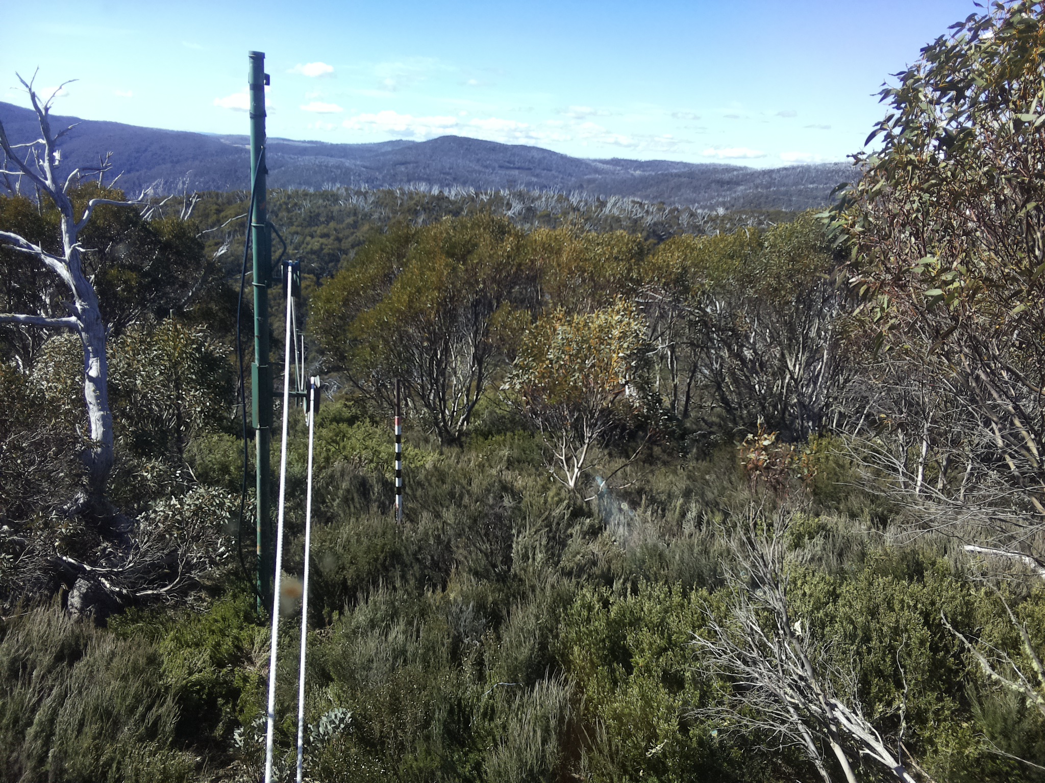 Bogong Web Cam 9:50am Wednesday 29th of October 2025