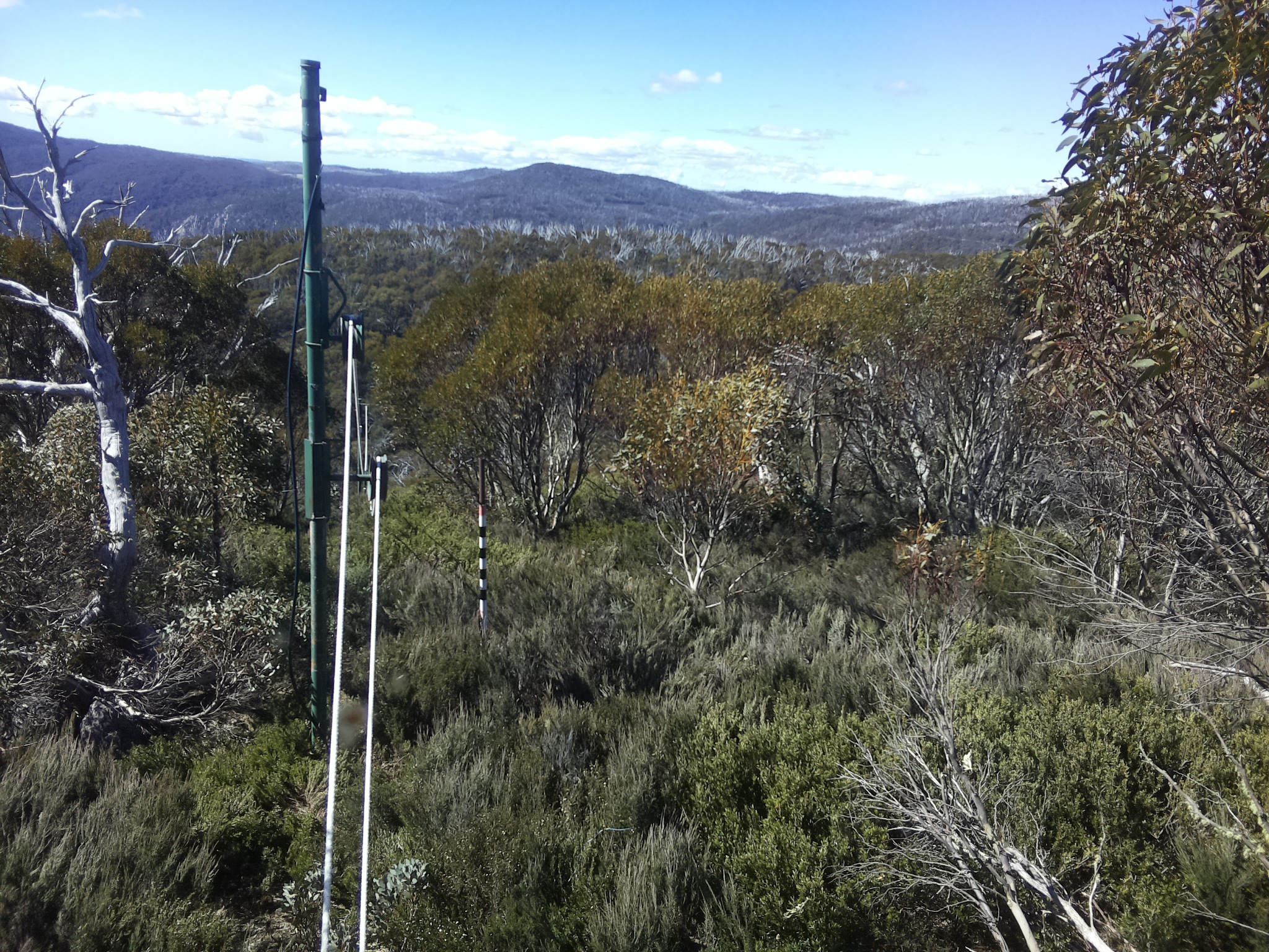 Bogong Web Cam 10:20am Wednesday 29th of October 2025