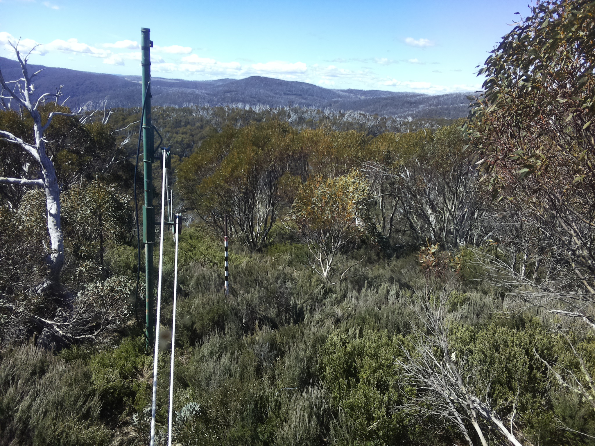 Bogong Web Cam 10:30am Wednesday 29th of October 2025