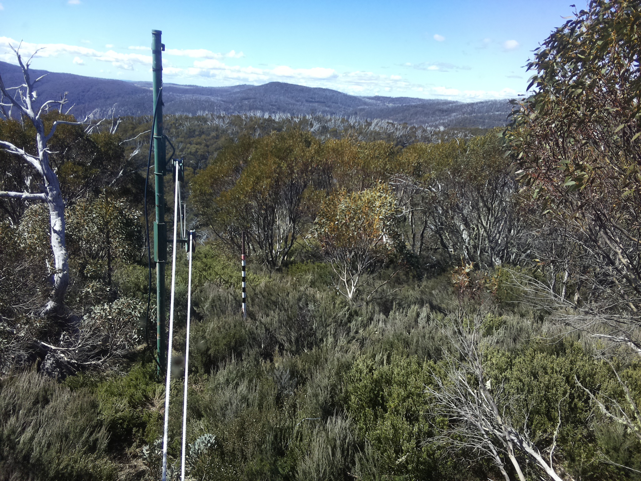 Bogong Web Cam 10:40am Wednesday 29th of October 2025