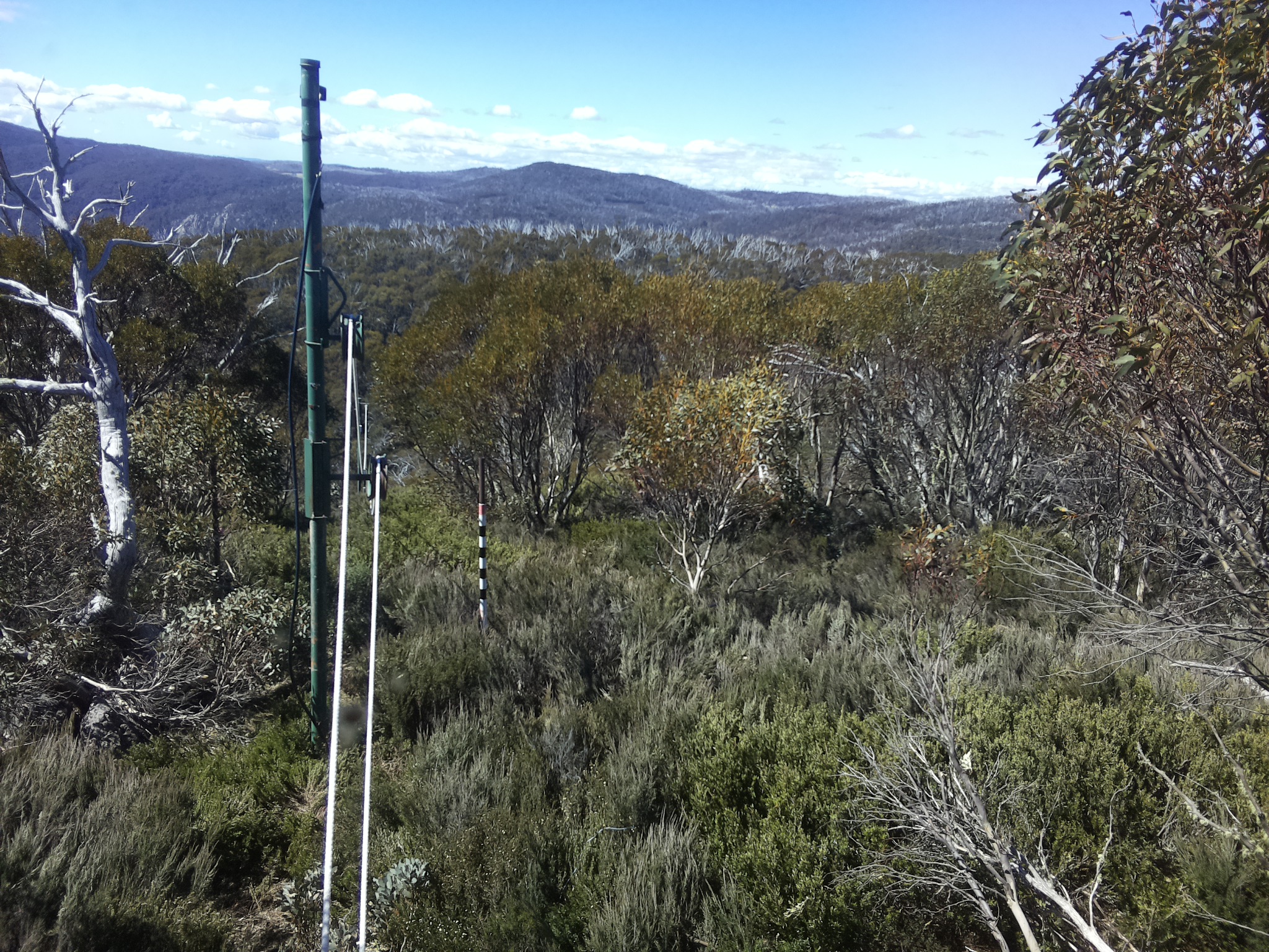 Bogong Web Cam 10:50am Wednesday 29th of October 2025