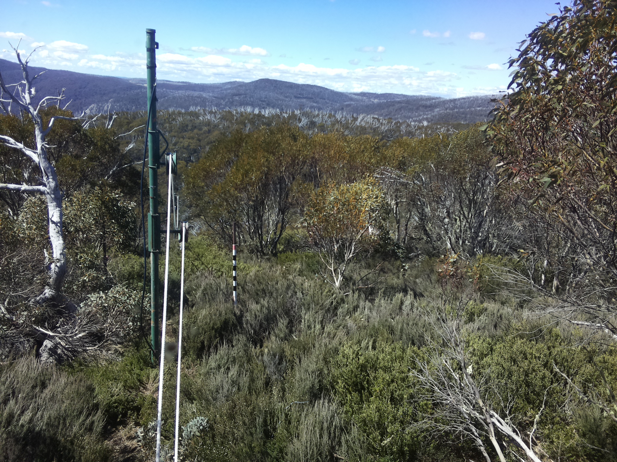 Bogong Web Cam 11:20am Wednesday 29th of October 2025