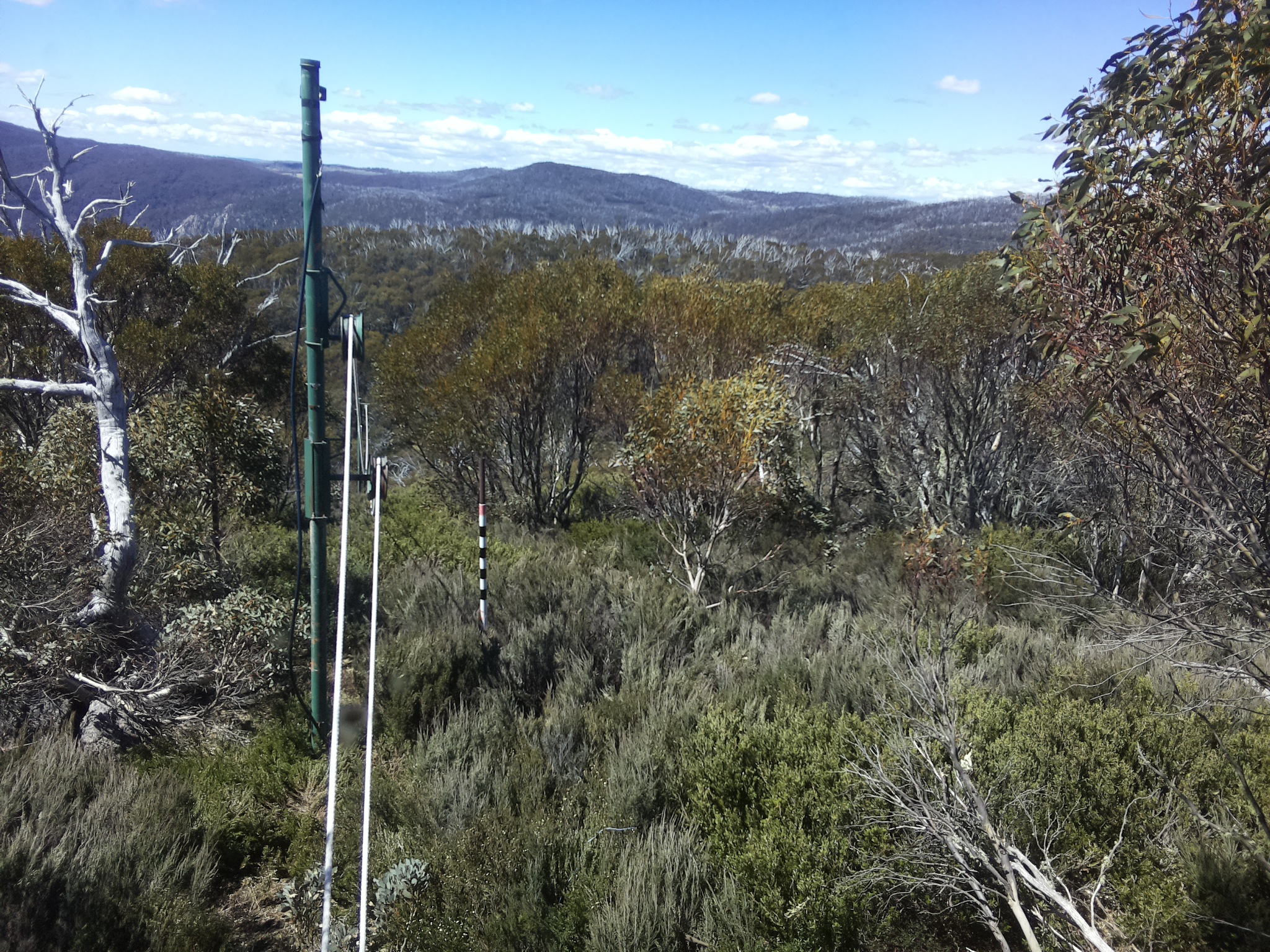 Bogong Web Cam 11:30am Wednesday 29th of October 2025