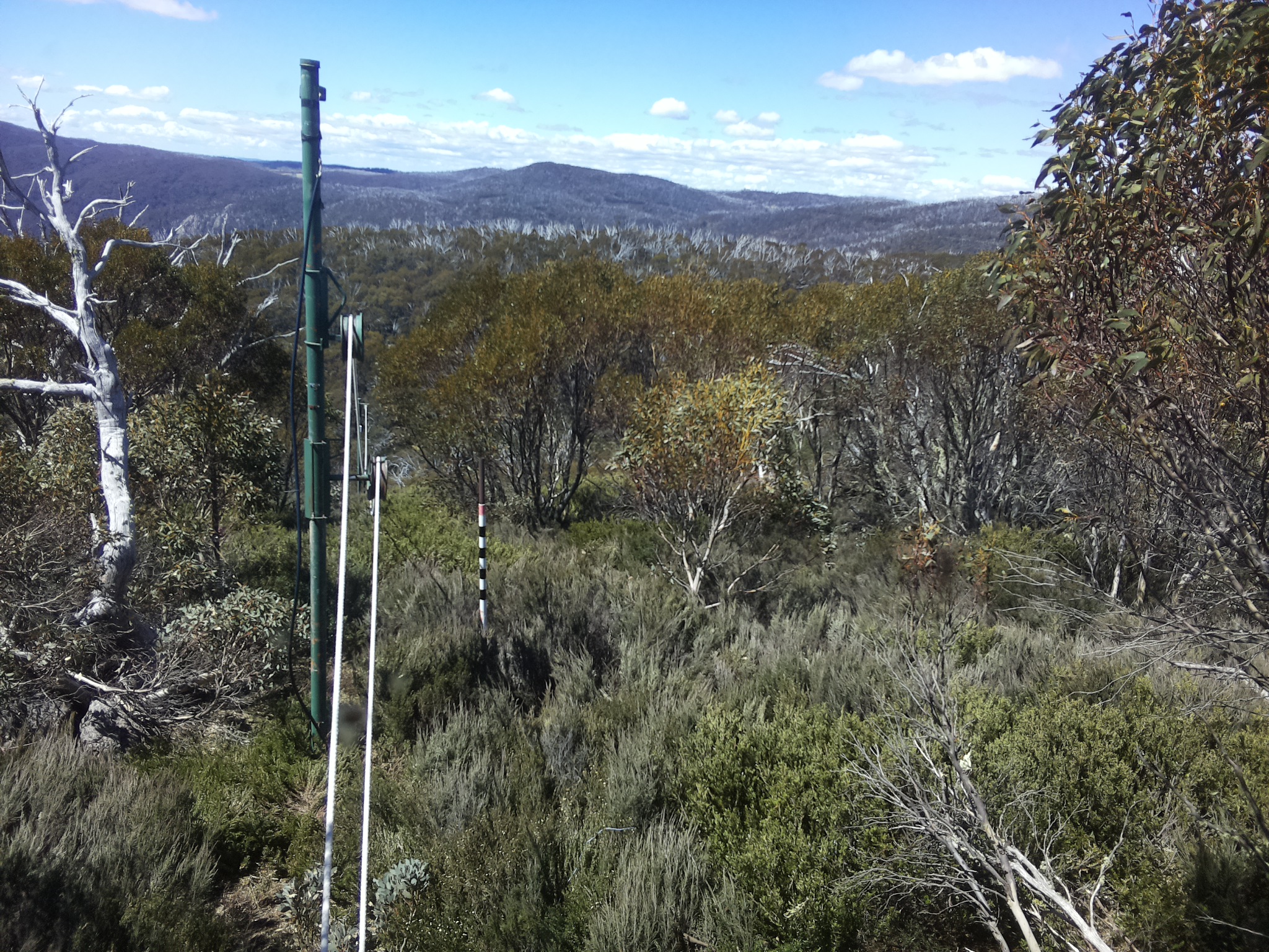 Bogong Web Cam 11:40am Wednesday 29th of October 2025