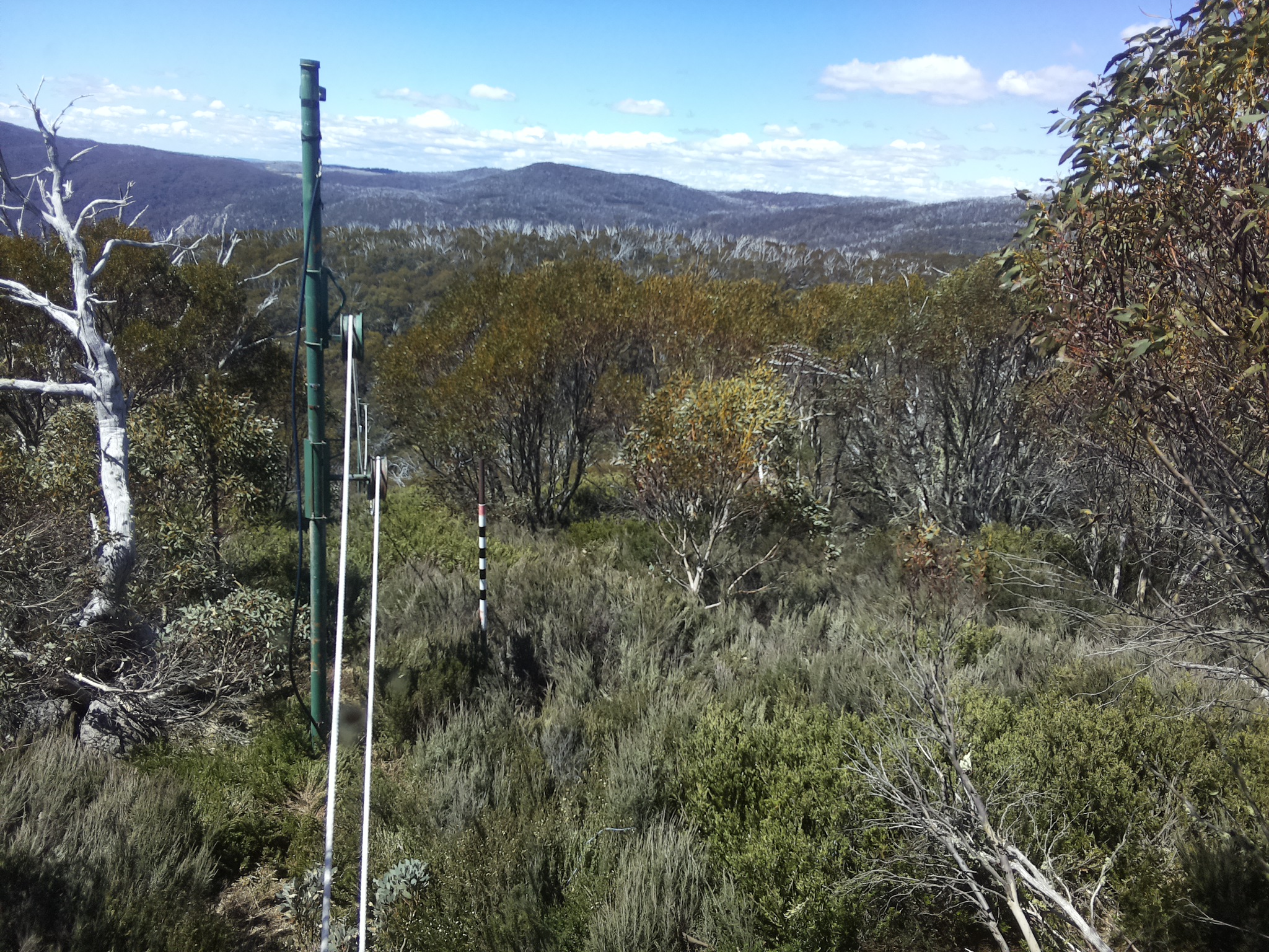 Bogong Web Cam 11:50am Wednesday 29th of October 2025