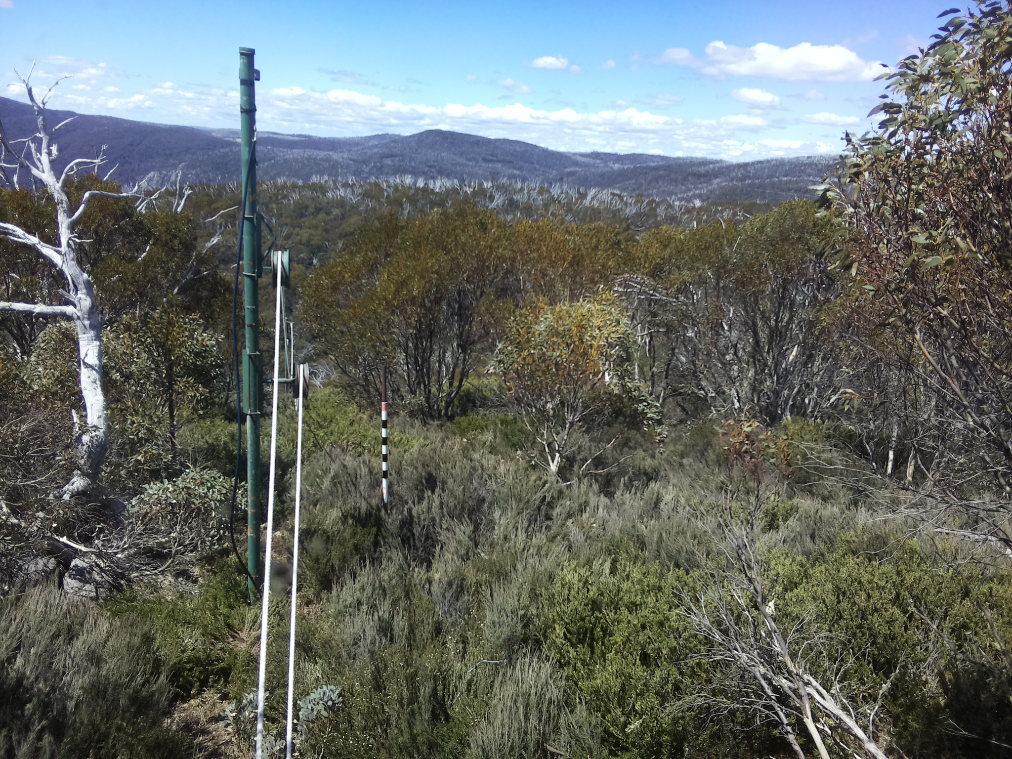 Bogong Web Cam 12:00pm Wednesday 29th of October 2025