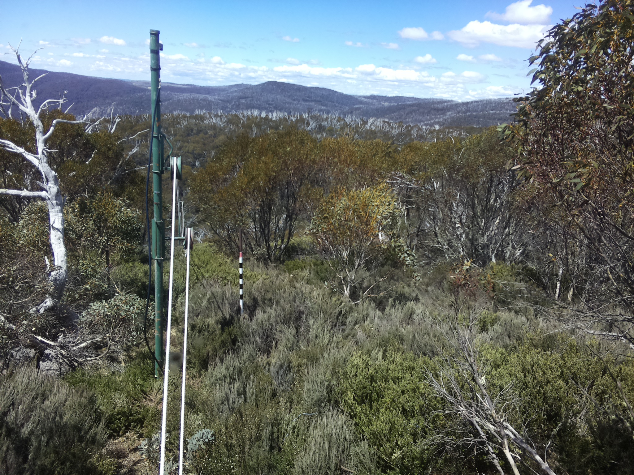 Bogong Web Cam 12:20pm Wednesday 29th of October 2025