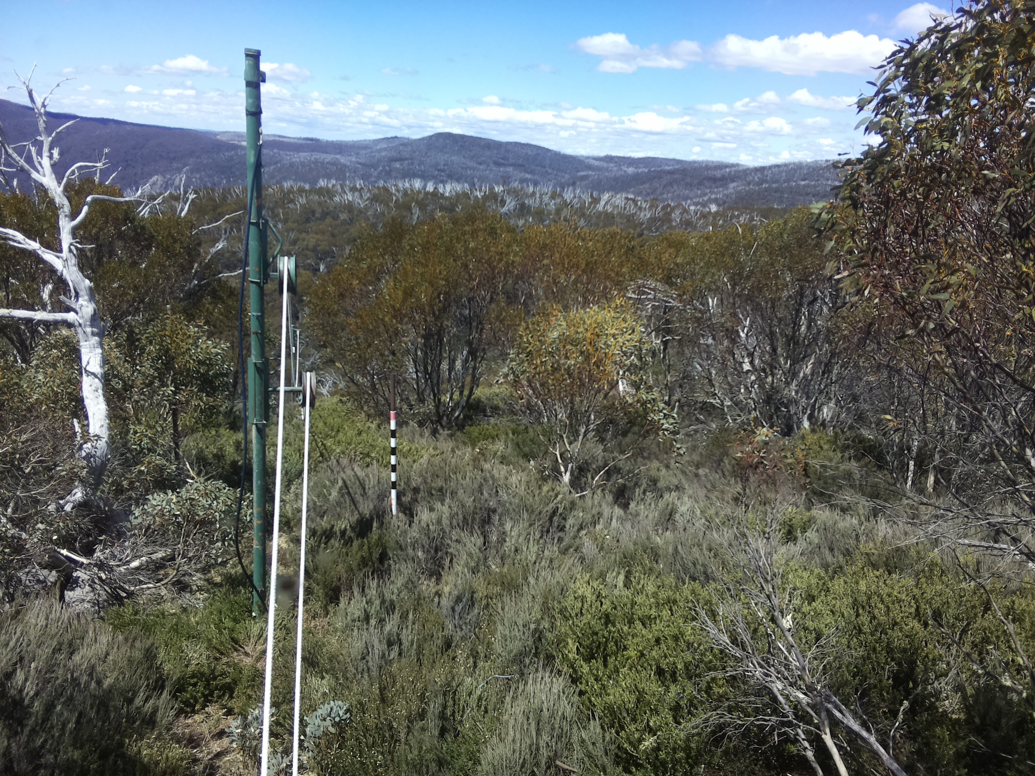 Bogong Web Cam 12:30pm Wednesday 29th of October 2025