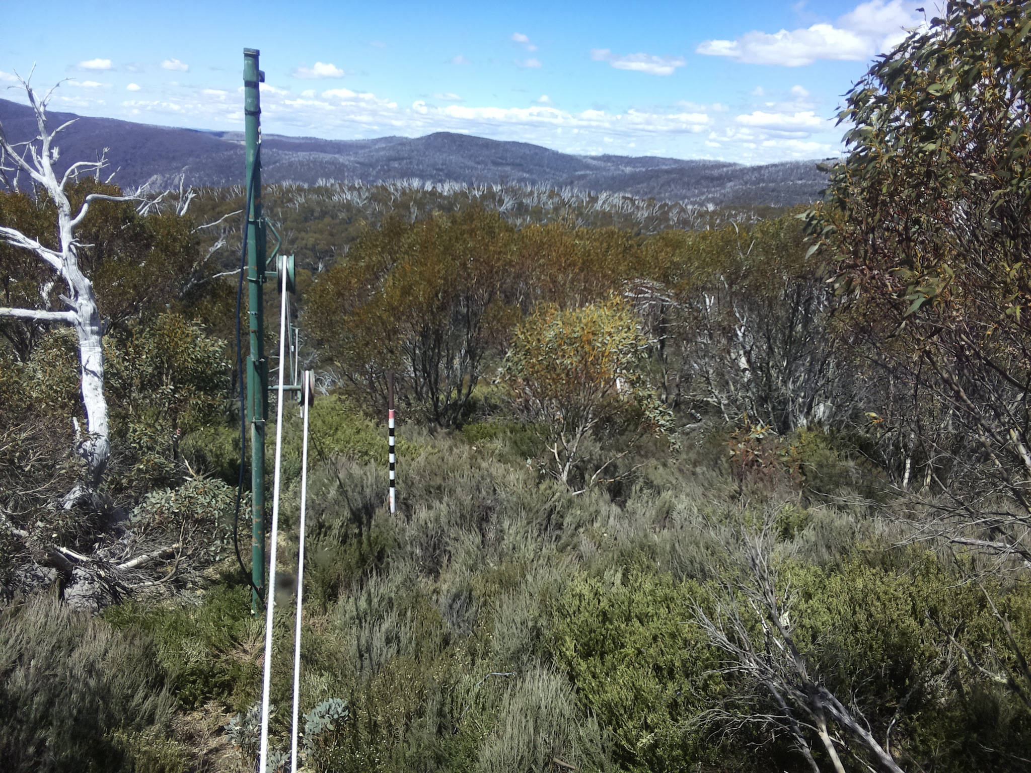 Bogong Web Cam 12:40pm Wednesday 29th of October 2025